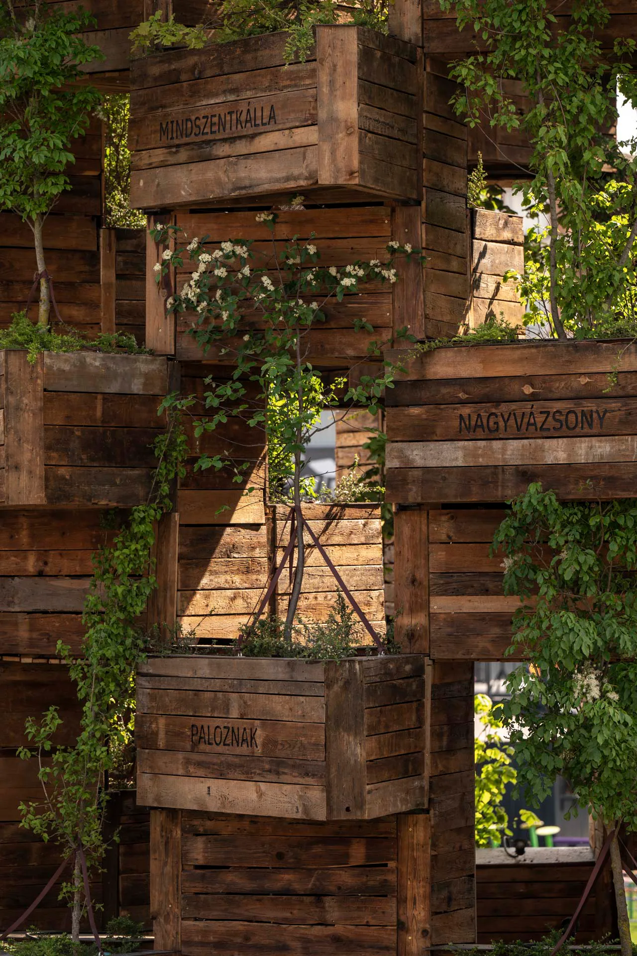 Die Holzkästen wurden aus recycelter, 120 Jahre alter Lärche gefertigt.