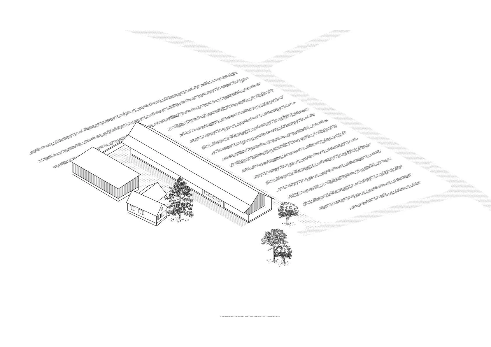 Weinhof nach Umbau, Grafik