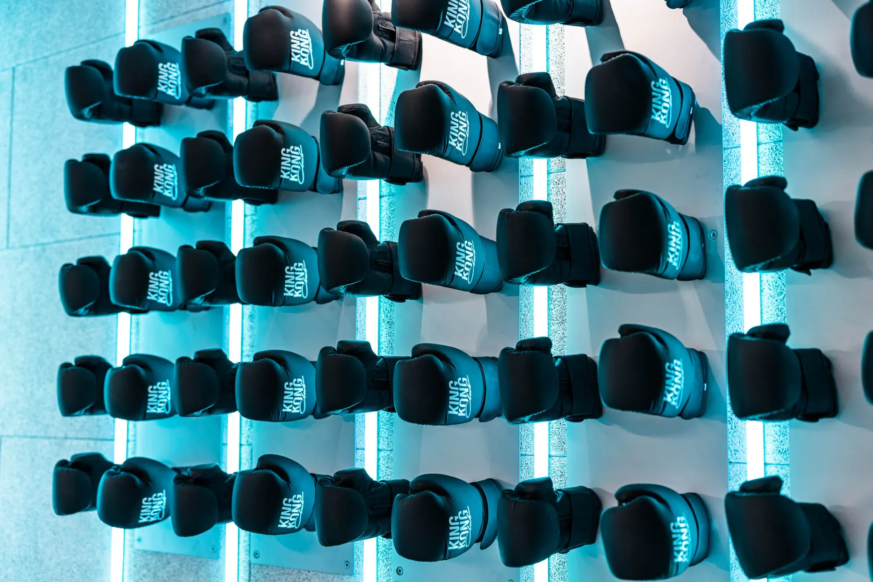 Wie ein Kunstwerk sind die Boxhandschuhe an der Wand angebracht und werden durch blaues Neonlicht in Szene gesetzt.