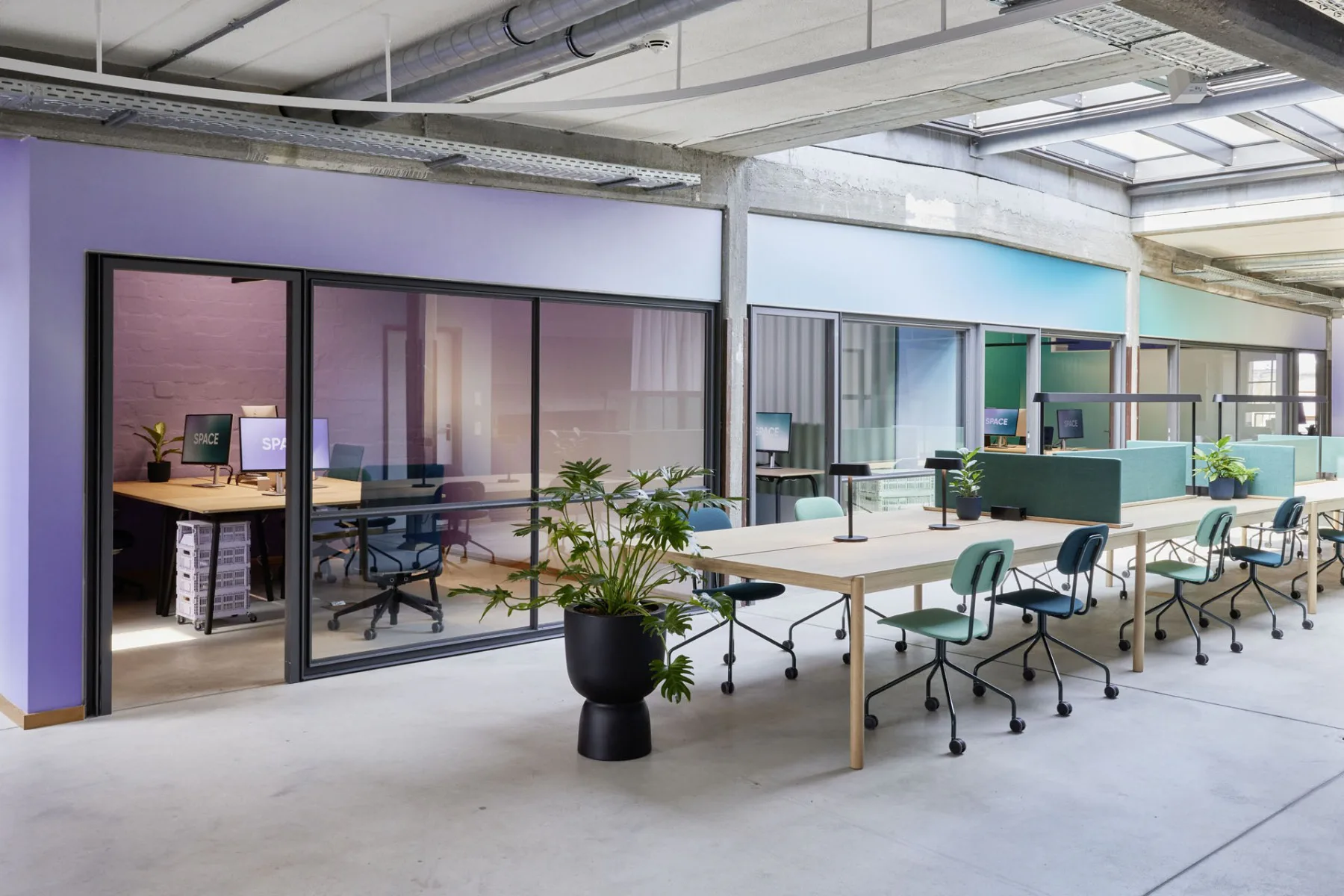 Space bietet Arbeitsräume für Unternehmen, Start-Ups und Selbstständige