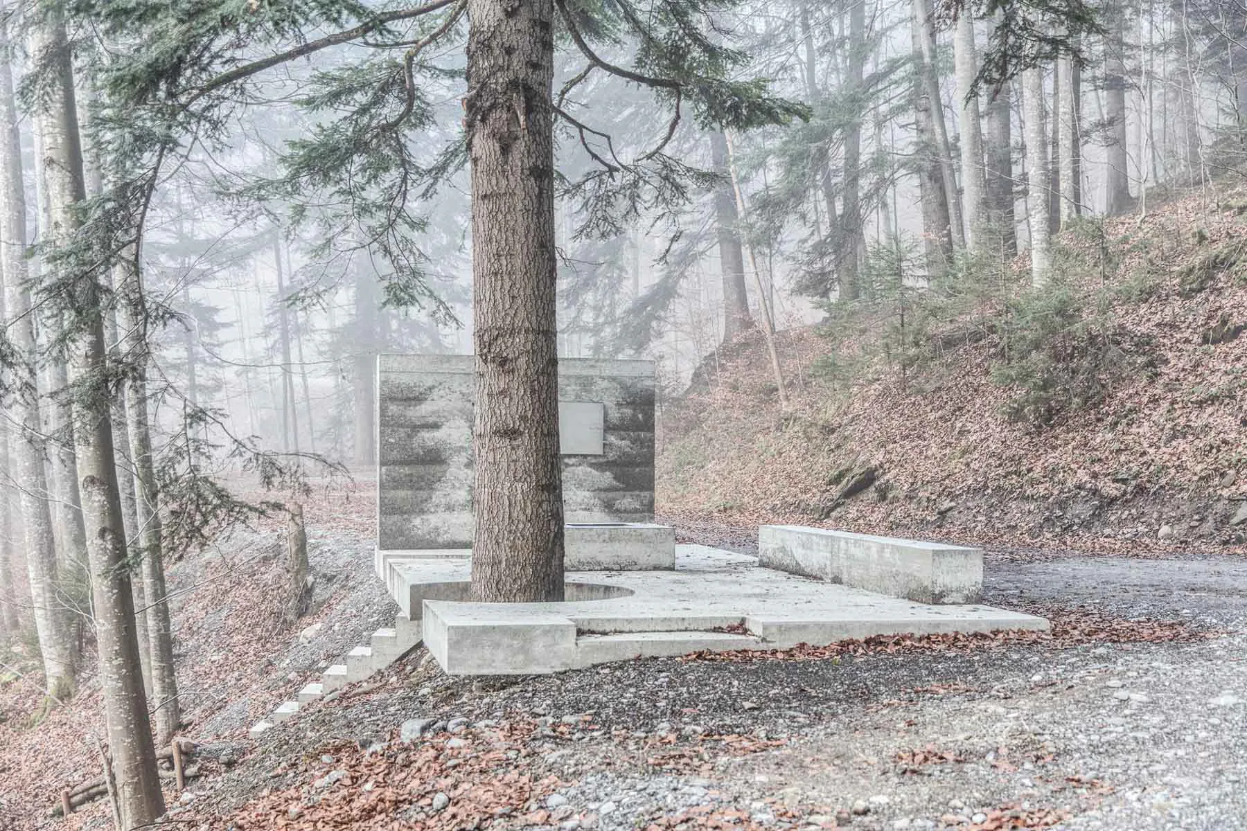Kalter Beton trifft lebendiges Holz: Auch eine mächtige Tanne wurde in die Installation integriert.