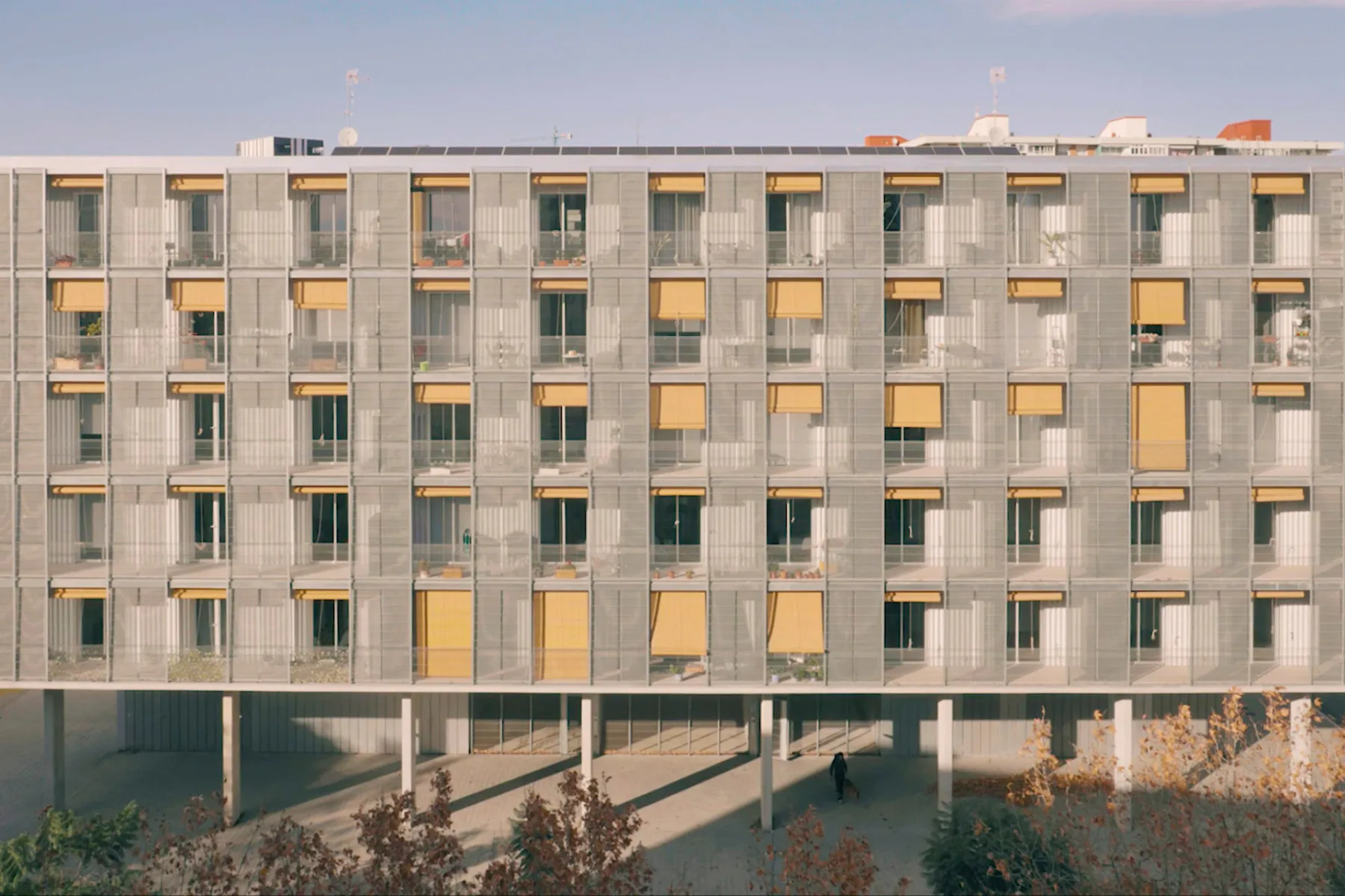 Cornella, Ausschnitt aus dem Film von Tapio Snellman