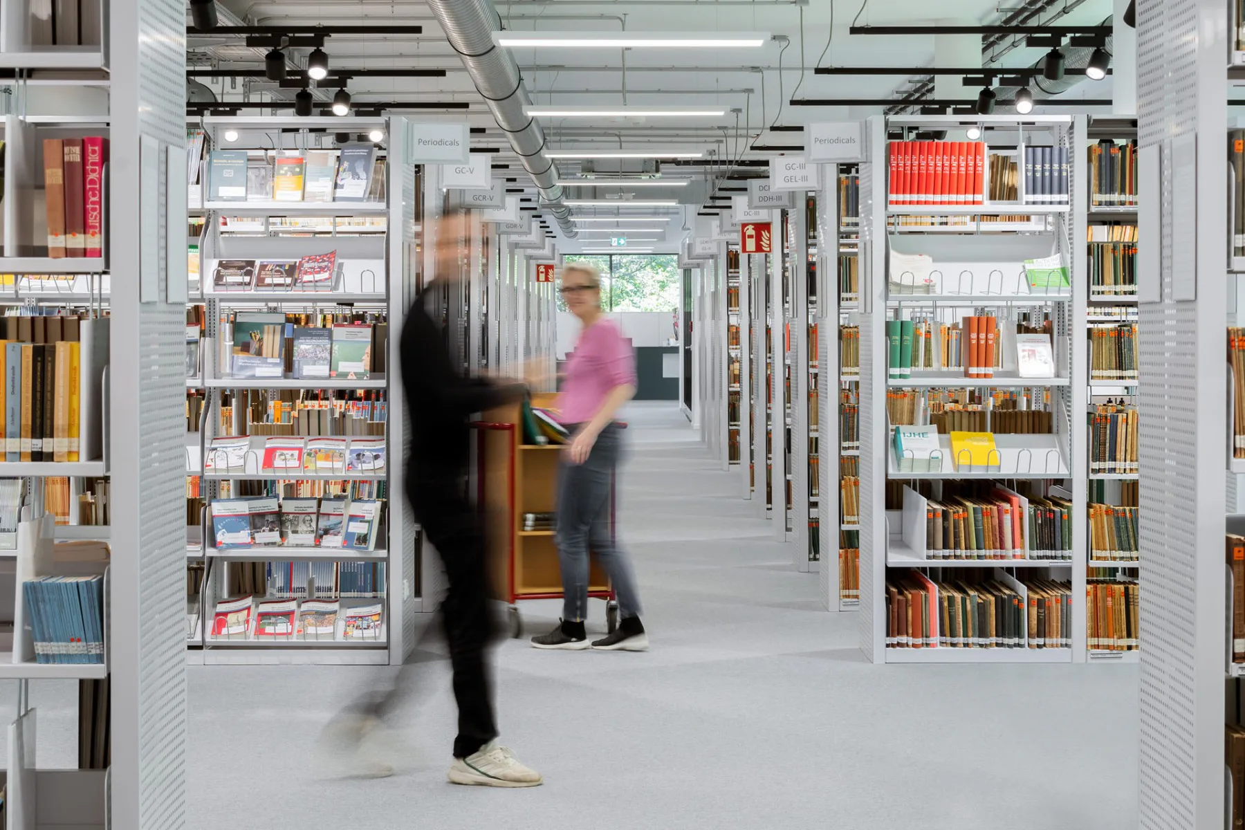 Die wissenschaftliche Sammlung umfasst derzeit rund 80 000 Medien.