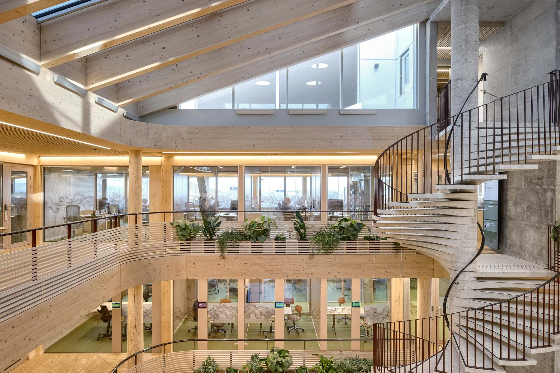 Rund um das Atrium wurde die Stahlbetonstruktur des Bestandsgebäudes durch eine Holzkonstruktion ergänzt.