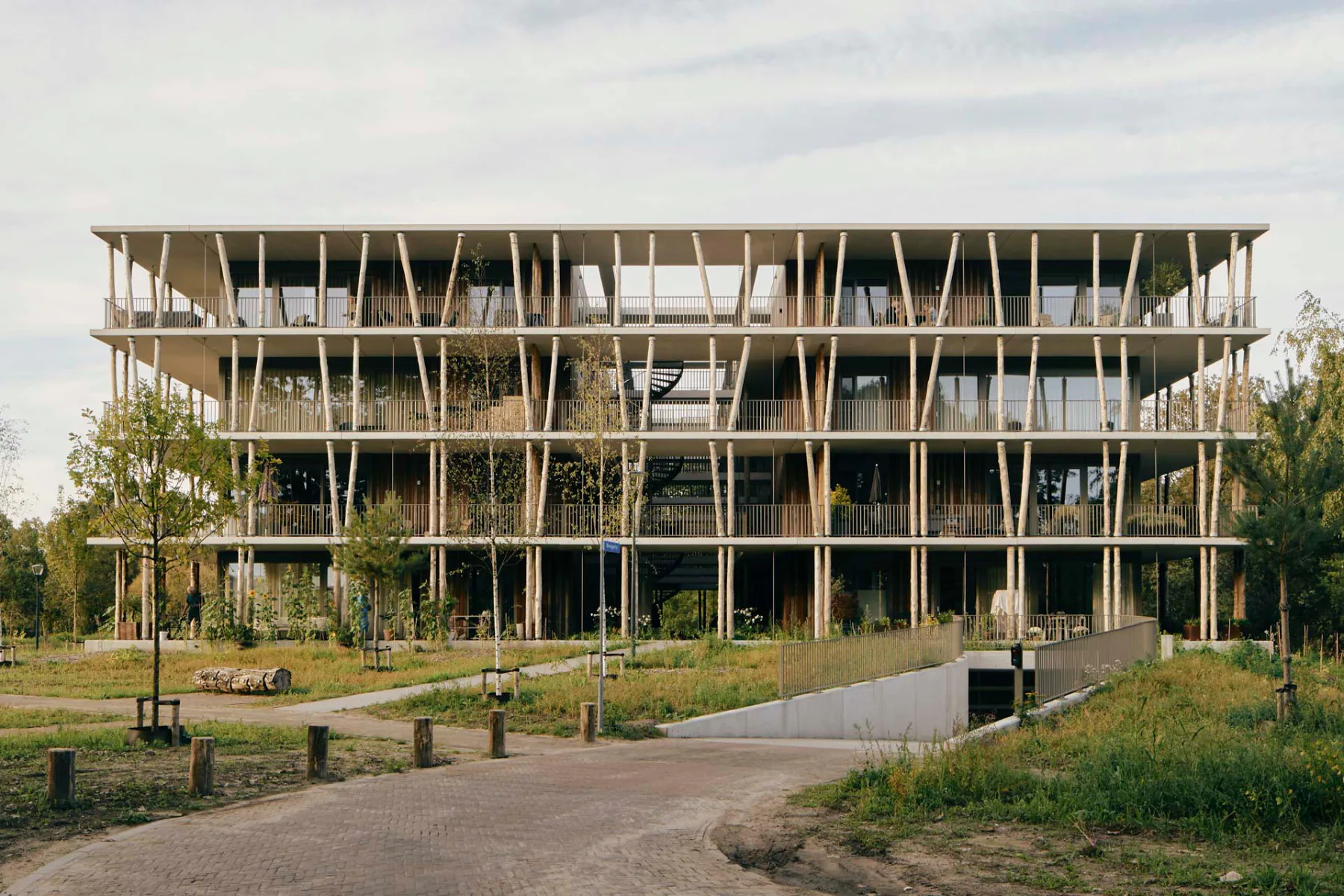 Die Architekten entwarfen Het Bosbad als bauliche Fortsetzung des umliegenden Grünraums.
