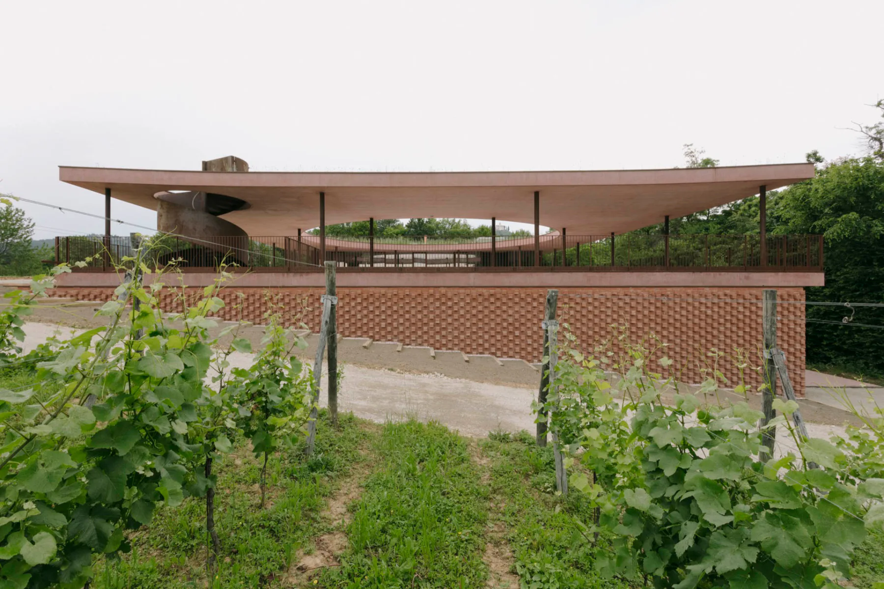 Azienda Agricola Il Ceresé in Montevecchia