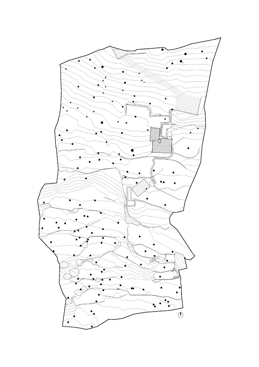 Lageplan, Grafik