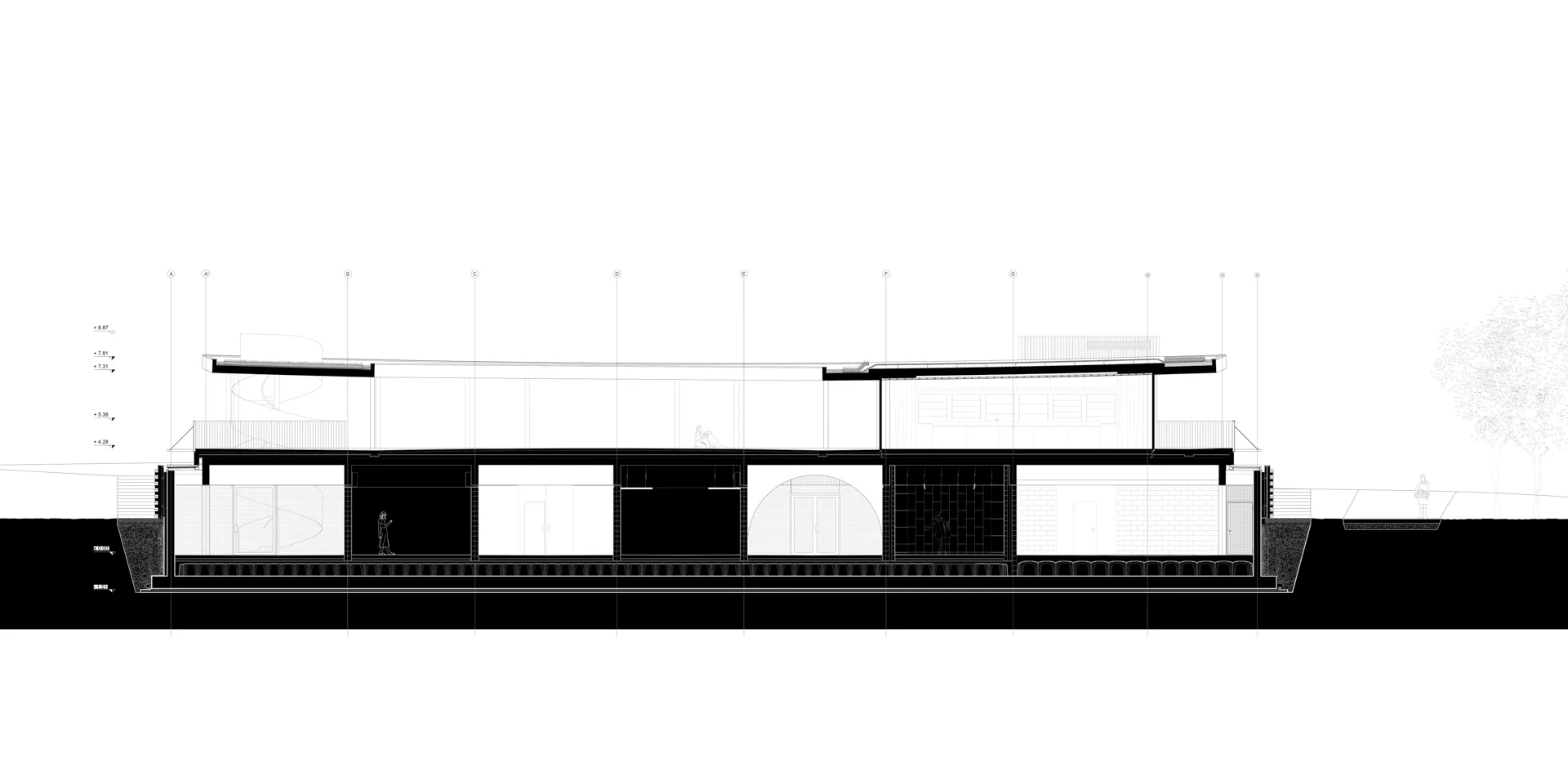 Längsschnitt, Grafik