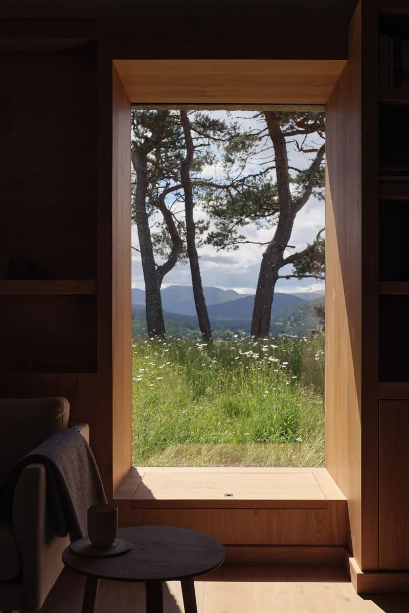 Ausblick über den schottischen Cairngorms National Park