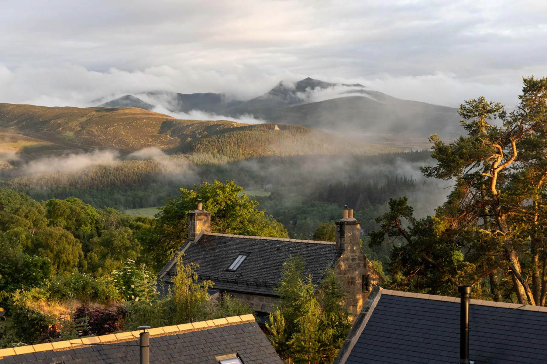 Ausblick über den schottischen Cairngorms National Park