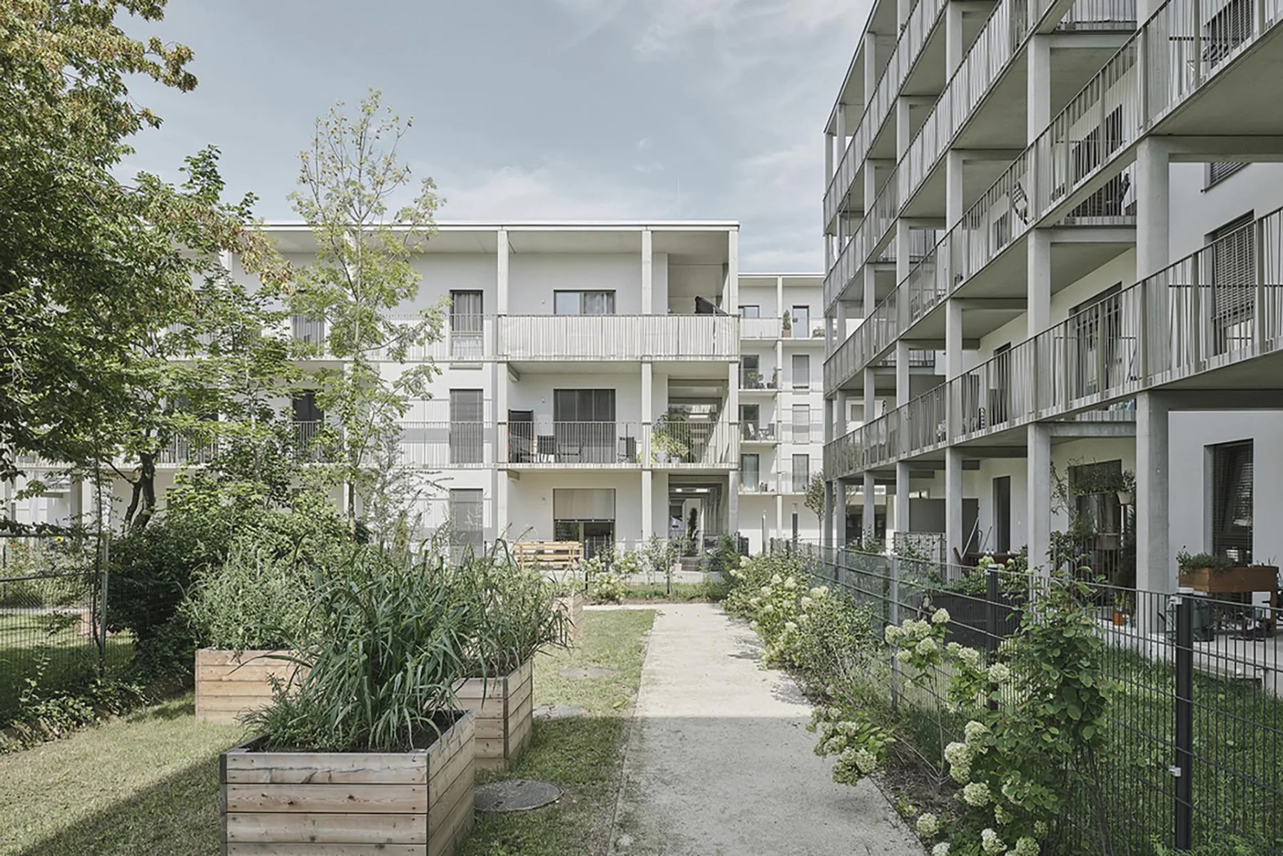 Marburgerhöfe der STP Wohnungserrichtungs-/Immobiliengesellschaft, Architektur: Balloon