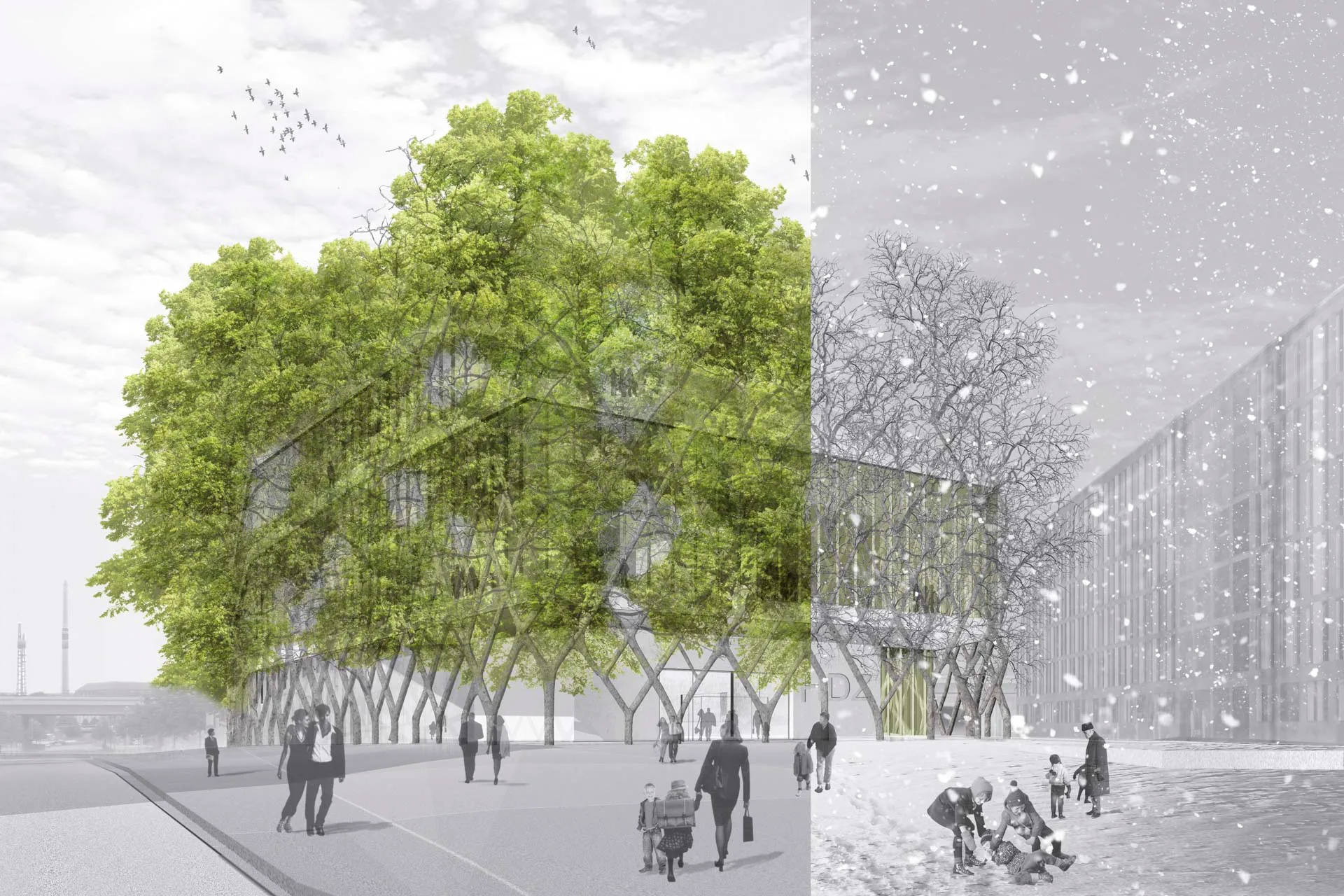 OLA – Office for Living Architecture, Wettbewerb „Haus der Zukunft“, 2012, Perspektive