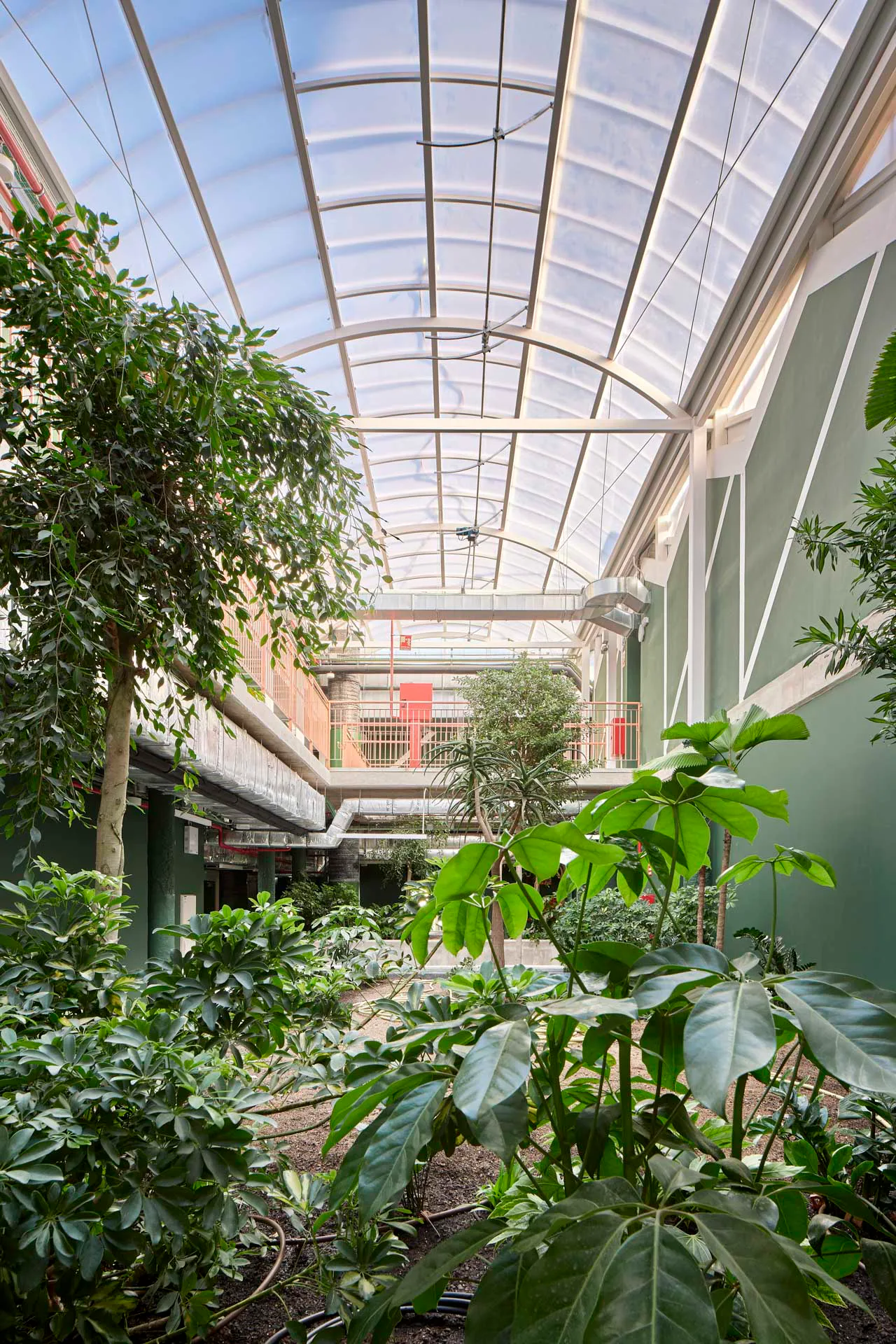 Das Atrium in den Obergeschossen weckt die Neugier für ökologische Zusammenhänge.