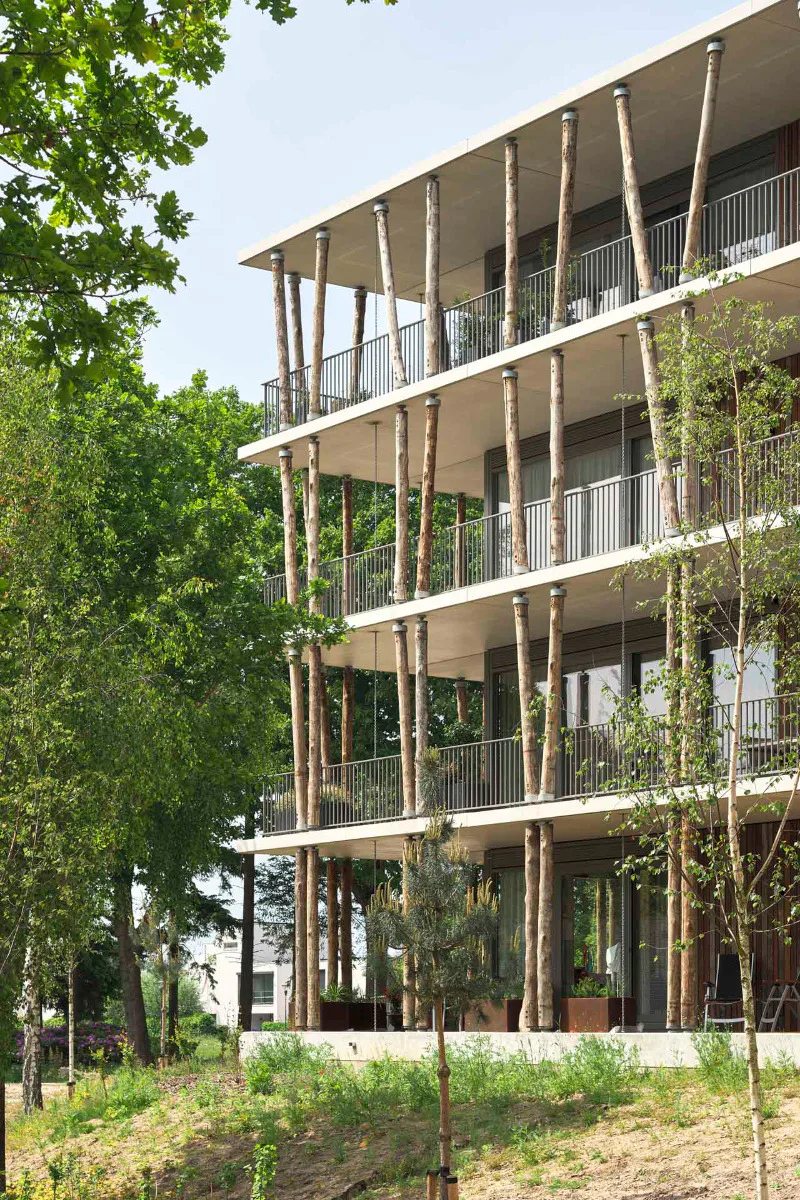 Round supports made of peeled eucalyptus trunks bear the balcony slabs.