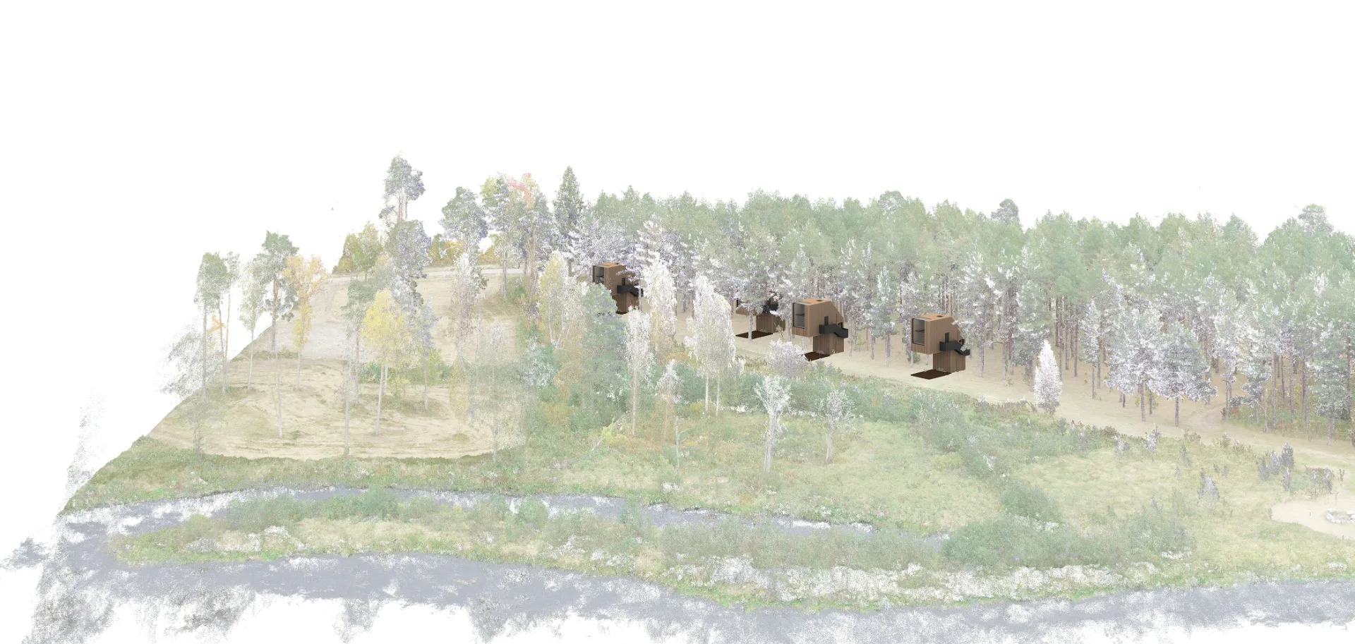 Piiluma im Wald, Grafik