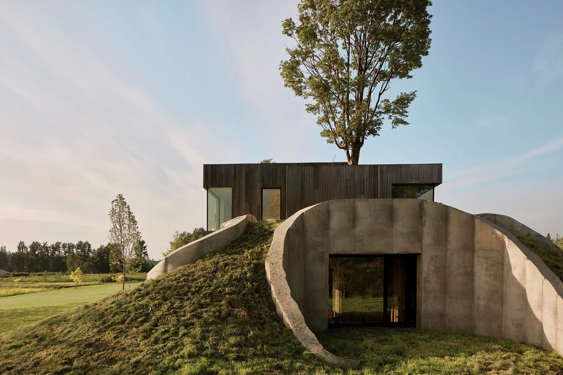 Die hohle Trompetenform der Säulen ermöglicht es, die Dachlandschaft mit altem Baumbestand zu bepflanzen.