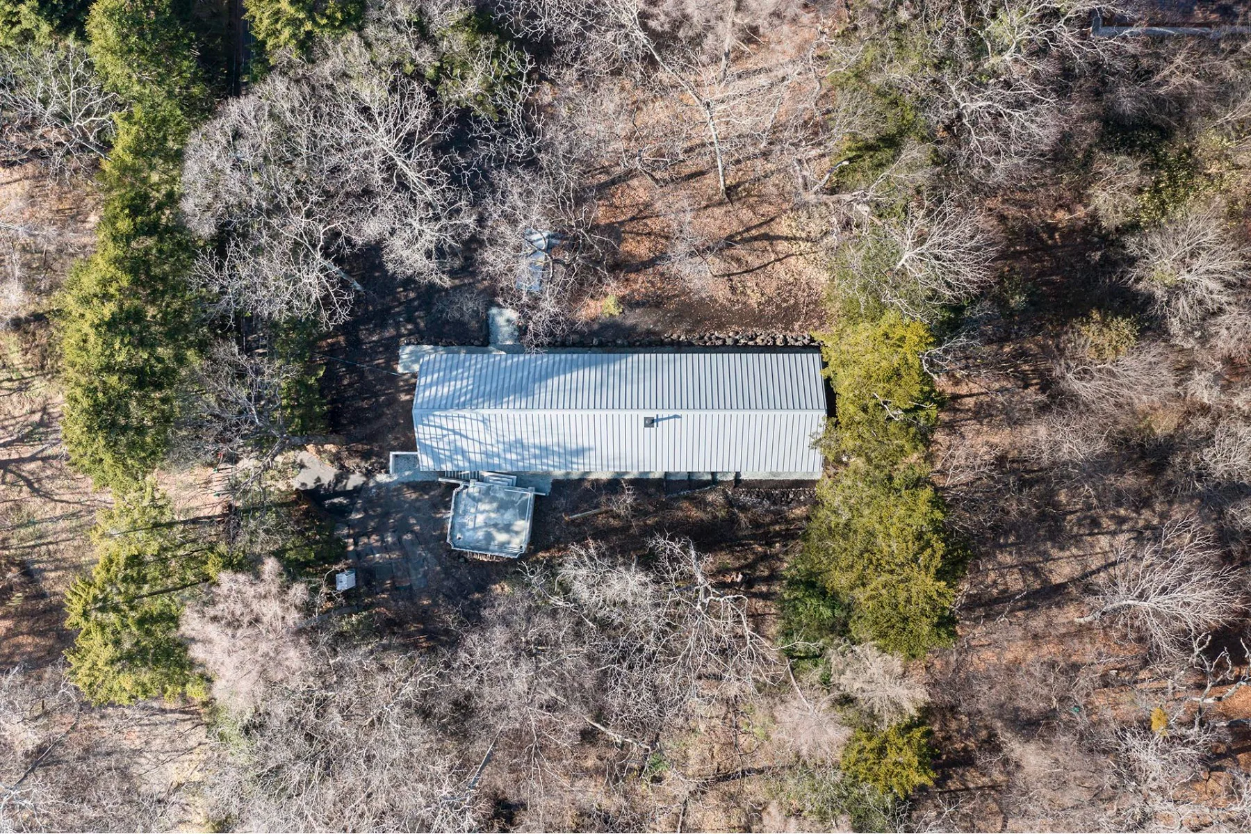Das japanische Ferienhaus steht buchstäblich mitten im Wald.