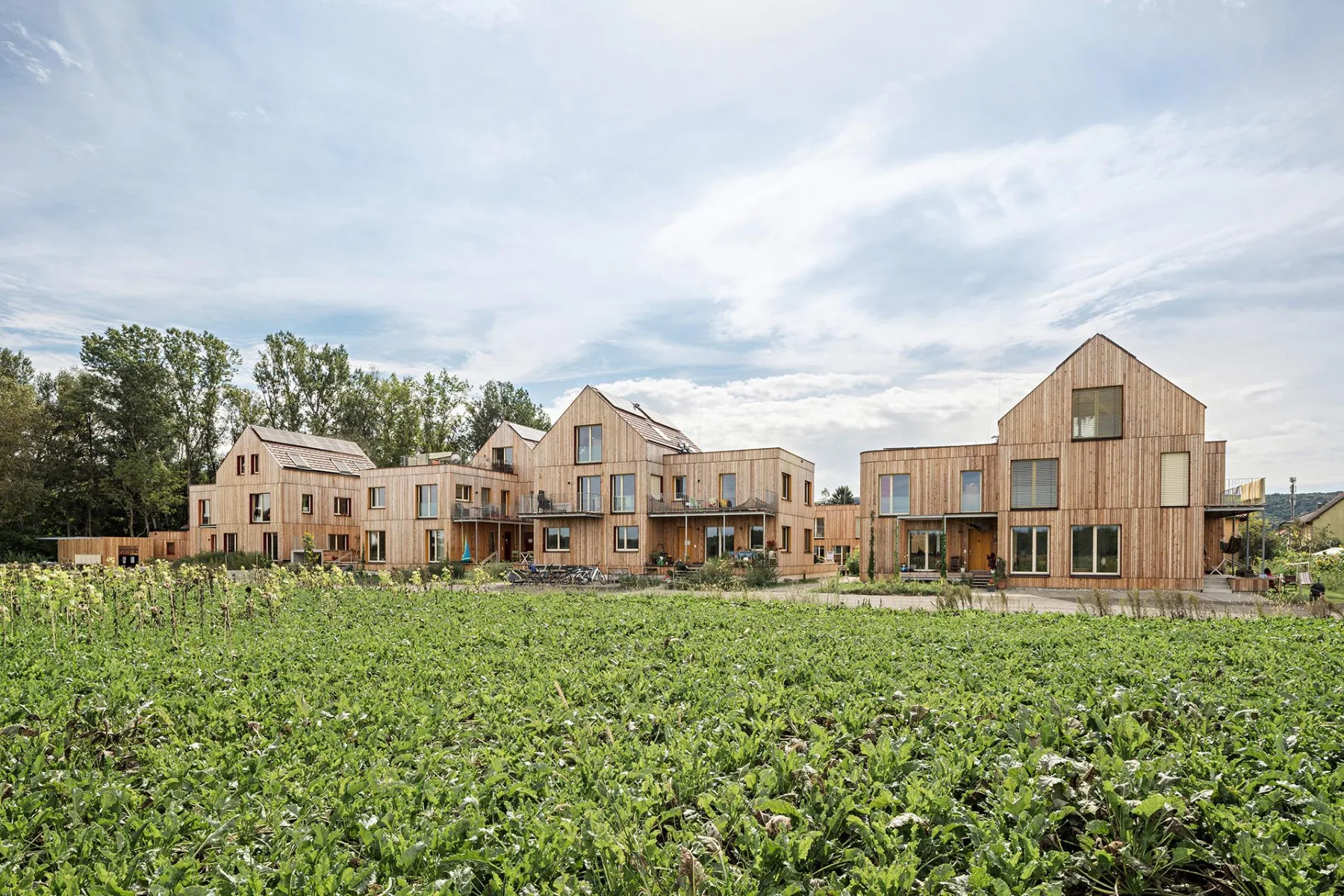 Bei der Wohnsiedlung Auenweide bei Wien von Einszueins Architektur kamen die Materialien Holz, Stroh, Jute und Lehm zur Anwendung.