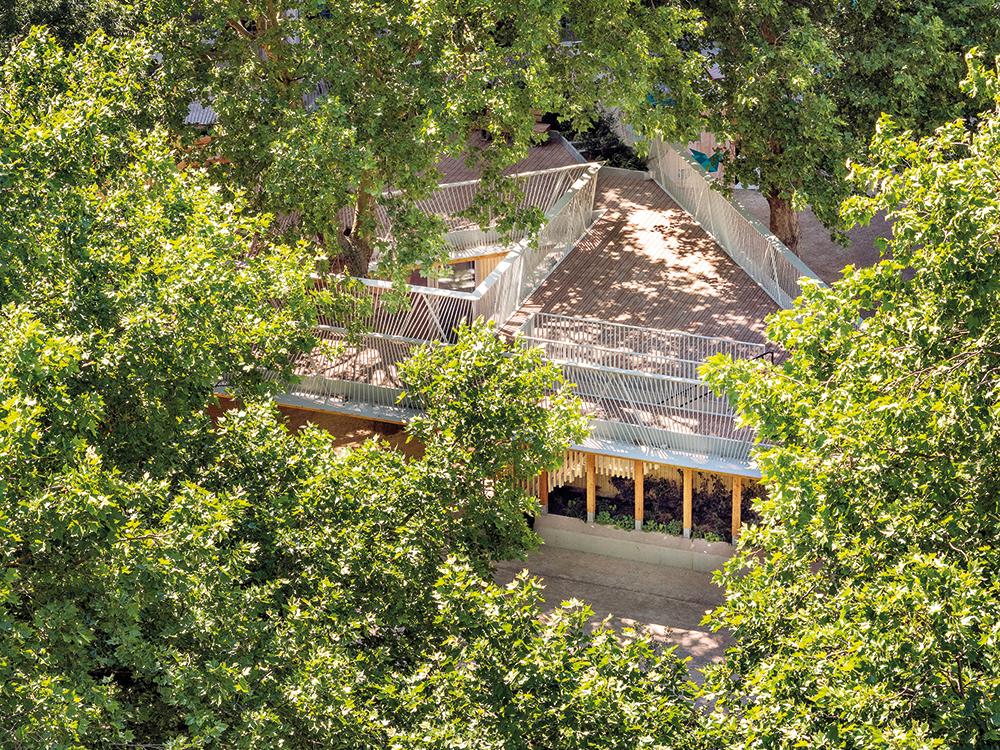A large triangular roof structure surrounds the sycamore in the courtyard. The three building volumes are used as a café with kiosk, for building services and as sanitary facilities.