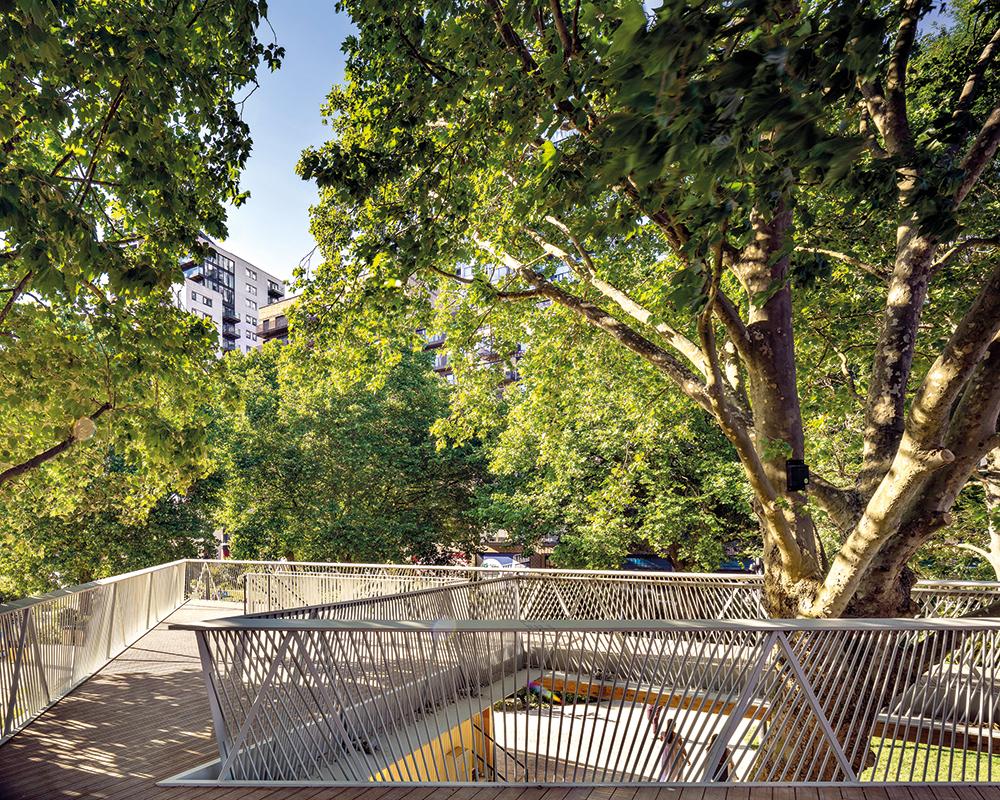 Auf der Dachterrasse lässt eine Öffnung in der Mitte genug Platz für die große Platane. Ihre Wurzeln und Äste wurden vermessen, um den erforderlichen Mindestabstand zu berechnen.