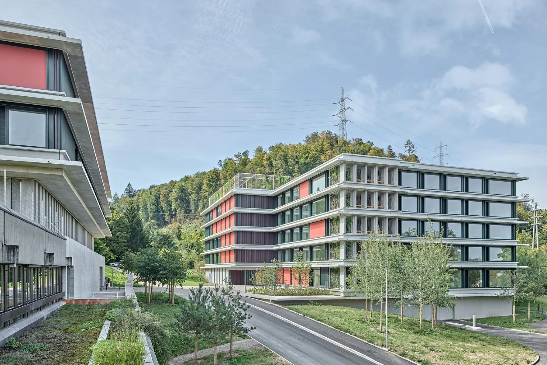 Links das Zentrum für Alterspsychiatrie (ZAP), rechts das Zentrum für Krisenintervention (ZKI): Die beiden Neubauten bilden den westlichen Abschluss des Klinikareals in Richtung Waldrand.
