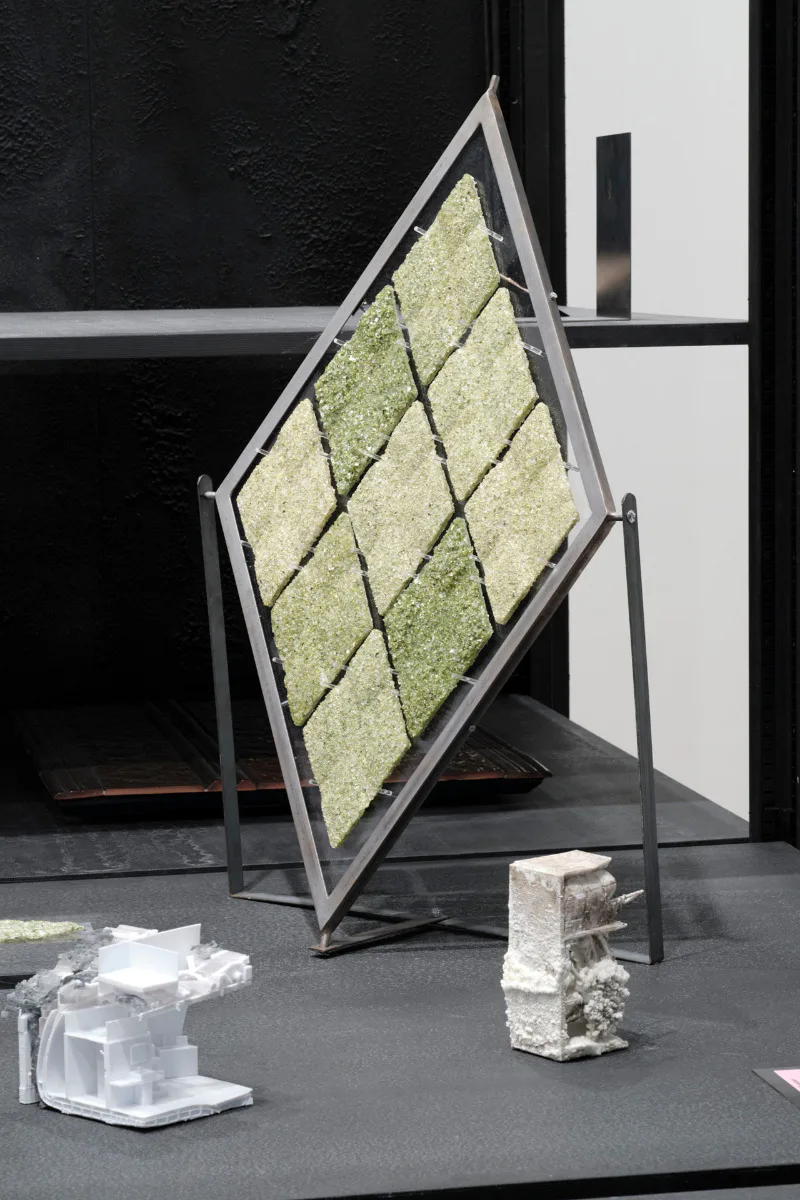 Architecture Window, Royal Academy of Arts, London, 2024. Artwork: Make Like a Leaf: Architecture as Atmosphere, by Lucia Giron.