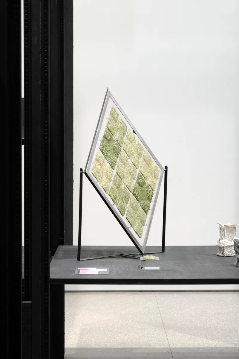 Architecture Window, Royal Academy of Arts, London, 2024. Artwork: Make Like a Leaf: Architecture as Atmosphere, by Lucia Giron.