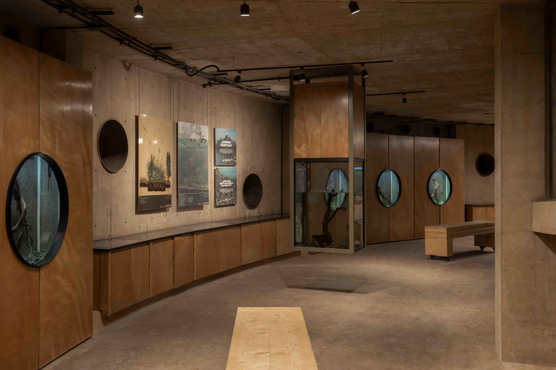 Ausstellungsräume im Untergeschoss des Ajolotario