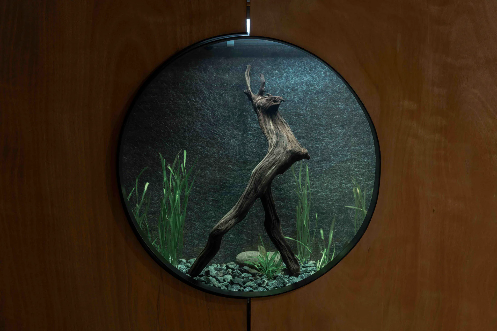 Runde Aquarien-Fenster vermitteln das Unterwasser-Ökosystem im Museum.