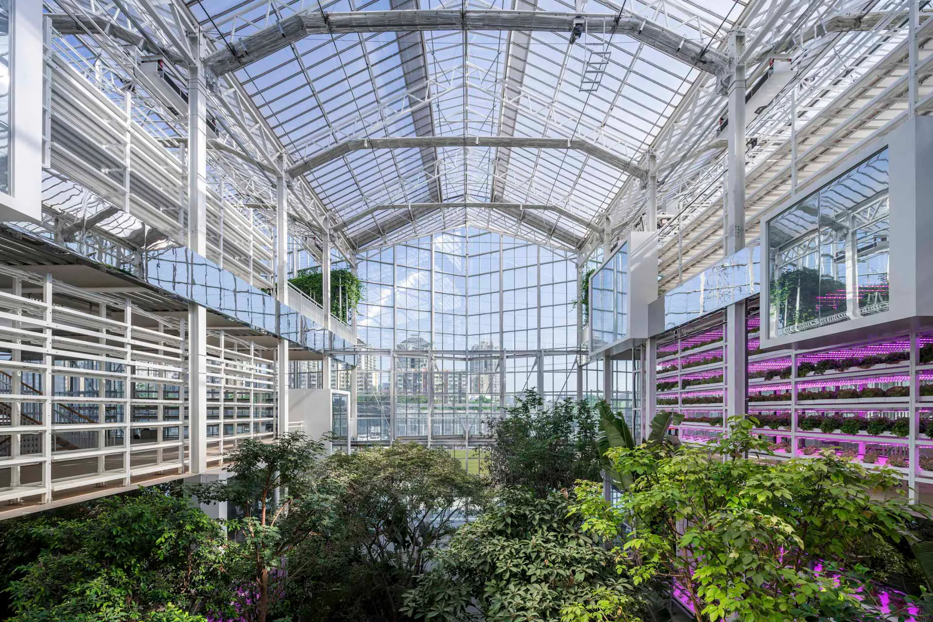 Das Zentrum der Halle ist über alle drei Geschosse geöffnet. Hier wurzeln Obstbäume in offenem Boden.