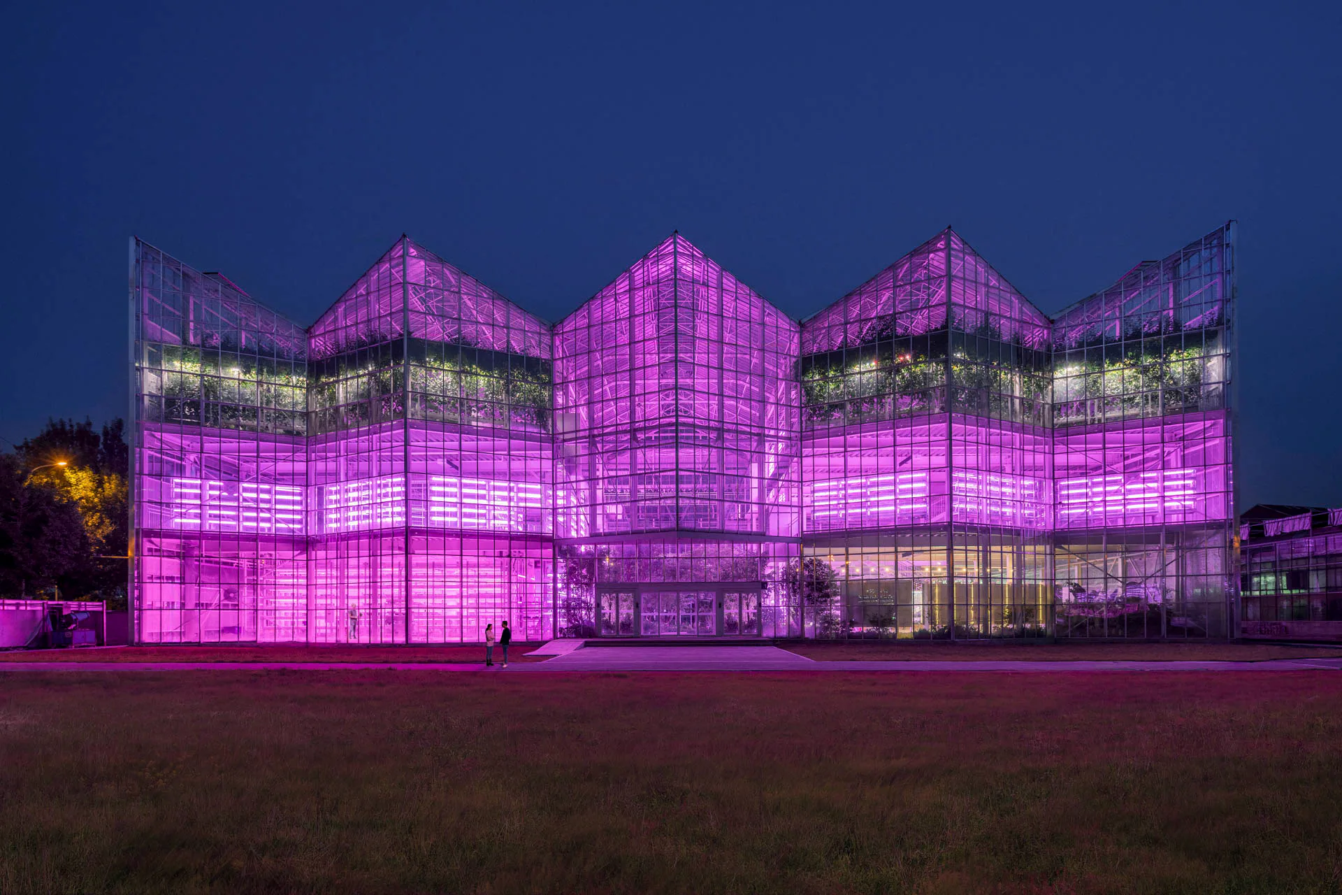 Durch die LED-Beleuchtung strahlt die vertikale Farm nachts in Magenta.