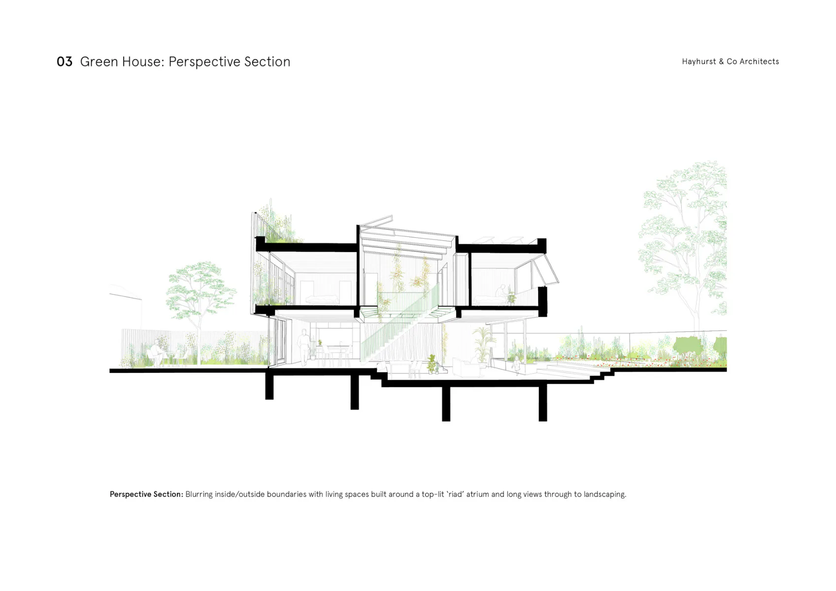 Green House: Perspektivischer Schnitt, Grafik
