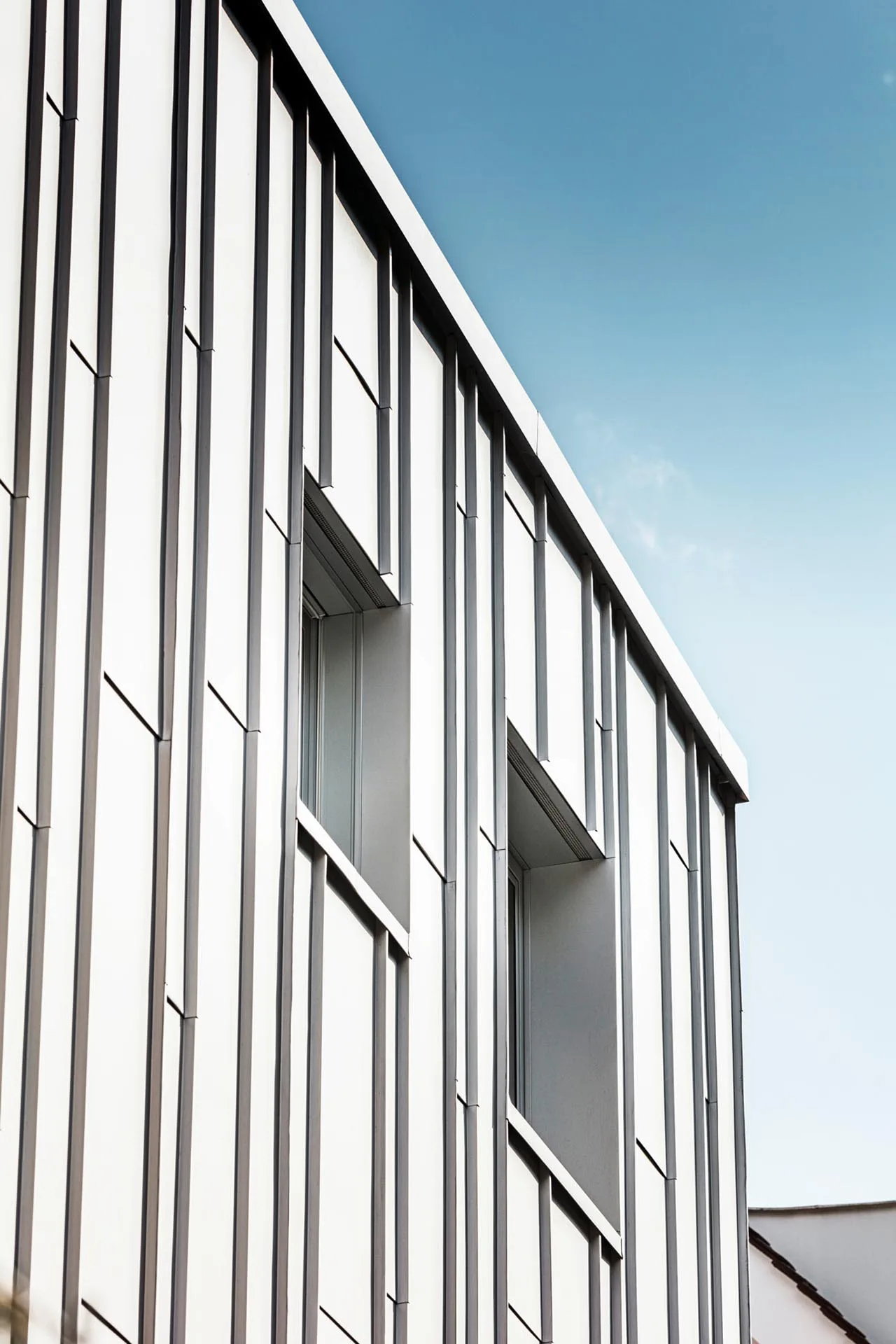 Detailaufnahme: Prefalz Fassade mit Fenstereinlassungen.