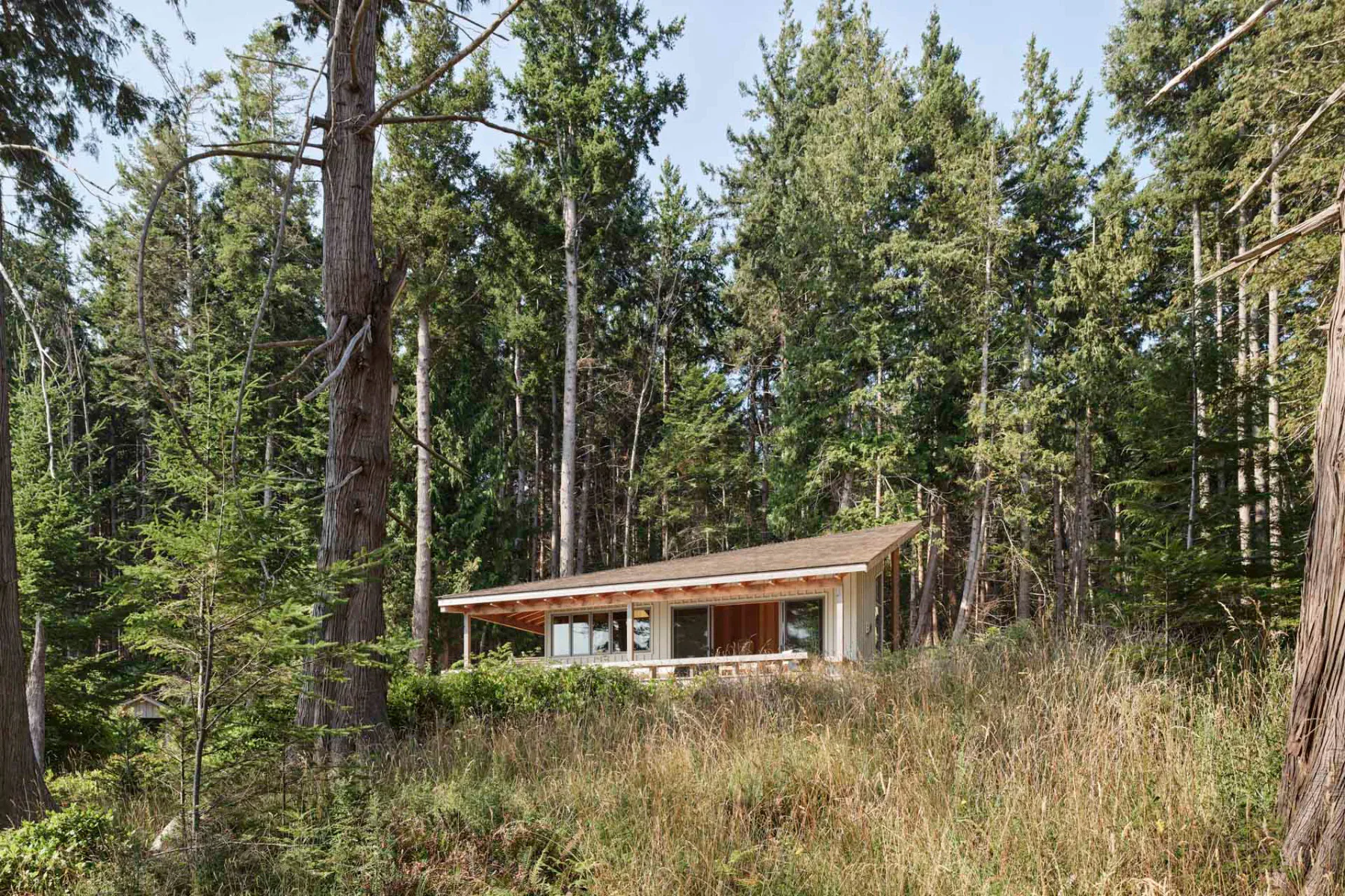 Abseits vom Alltagstrubel auf einer Insel an der Küste von British Columbia liegt das Ferienhaus eines Schriftstellers.