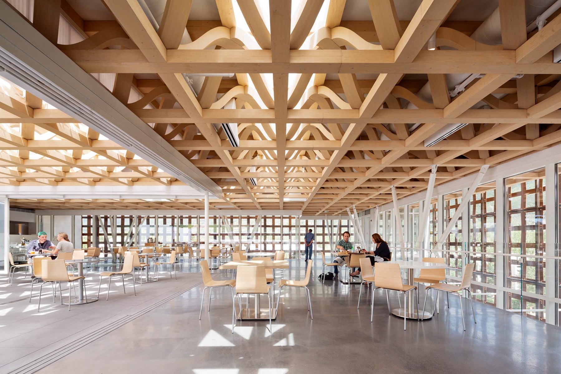 Shigeru Ban: Timber in Architecture