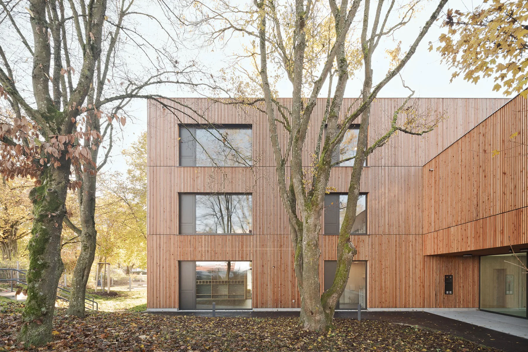 Hugo-Häring-Landespreis 2024: Kita zwischen Bäumen in Böblingen, Architektur: Franke Seiffert Architekten, Bauherr: Stadt Böblingen
