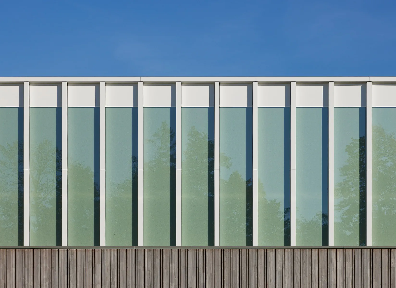 Vertikale Gliederung der oberen Längsseite durch Holz-Alu-Pfosten-Riegel-Fassade