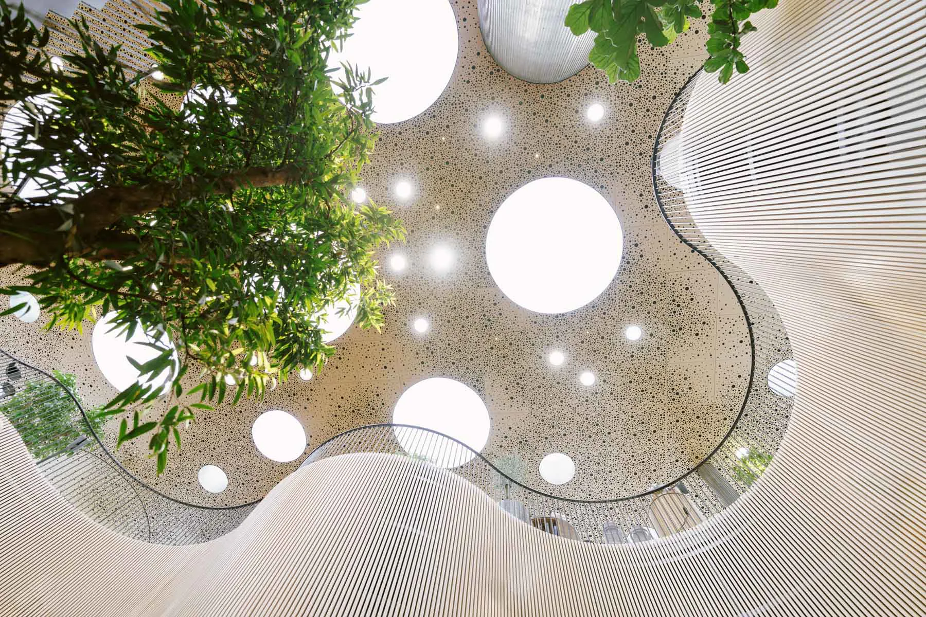 Runde Skylights sorgen für Tageslicht im Inneren des Gewächshauses mit subtropischen Pflanzen im Atrium.