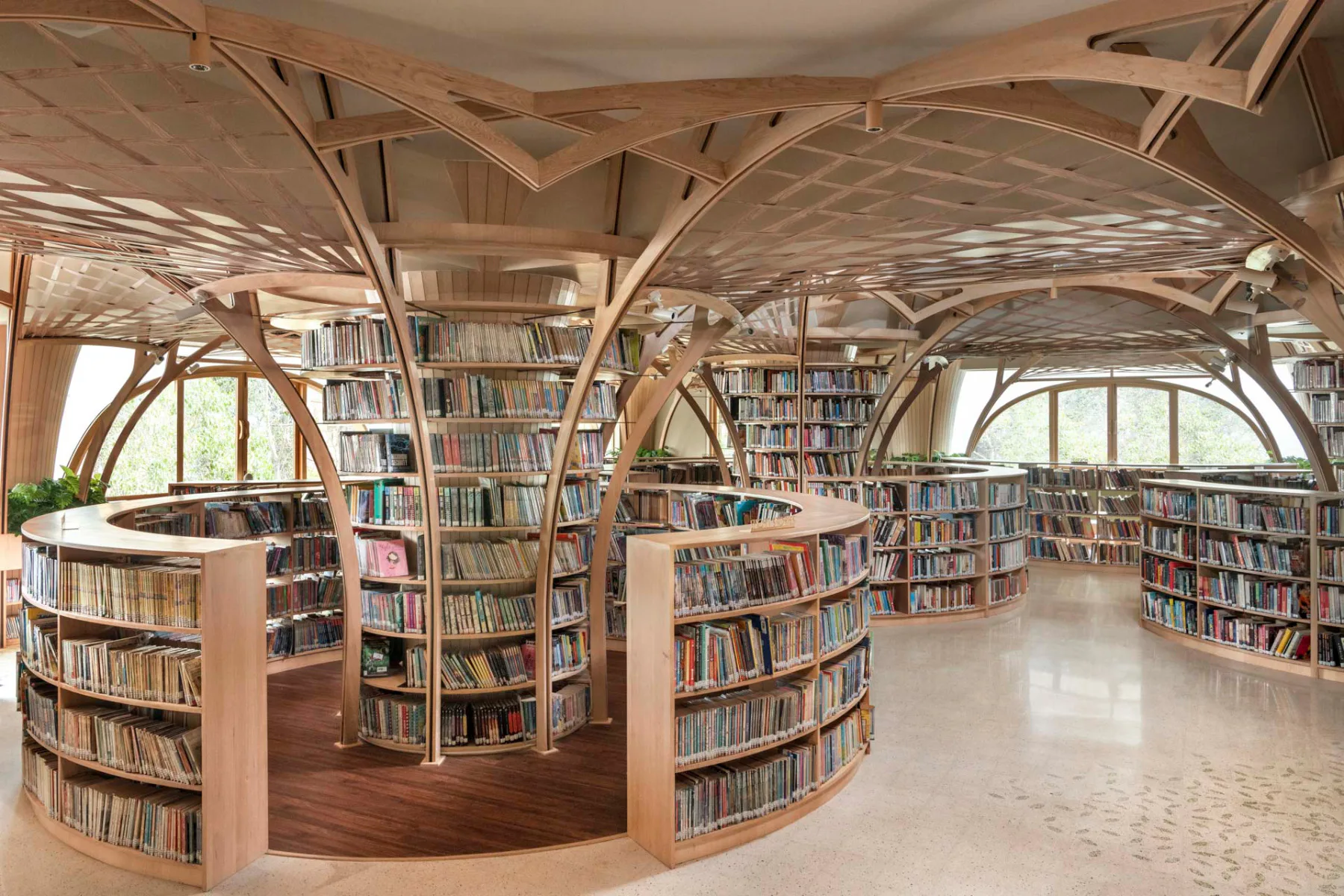 Bücherregale aus Holz werden zu Bäumen.