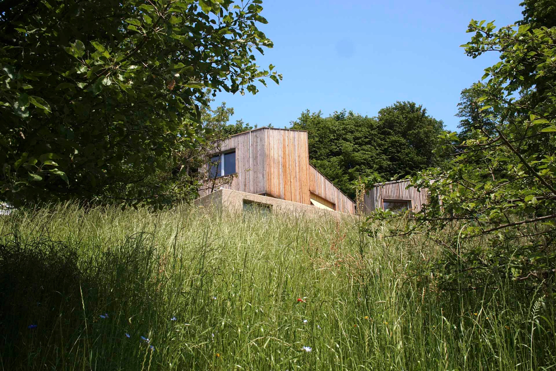 Gebäudeensemble in Niederösterreich von Nema Architecture Office