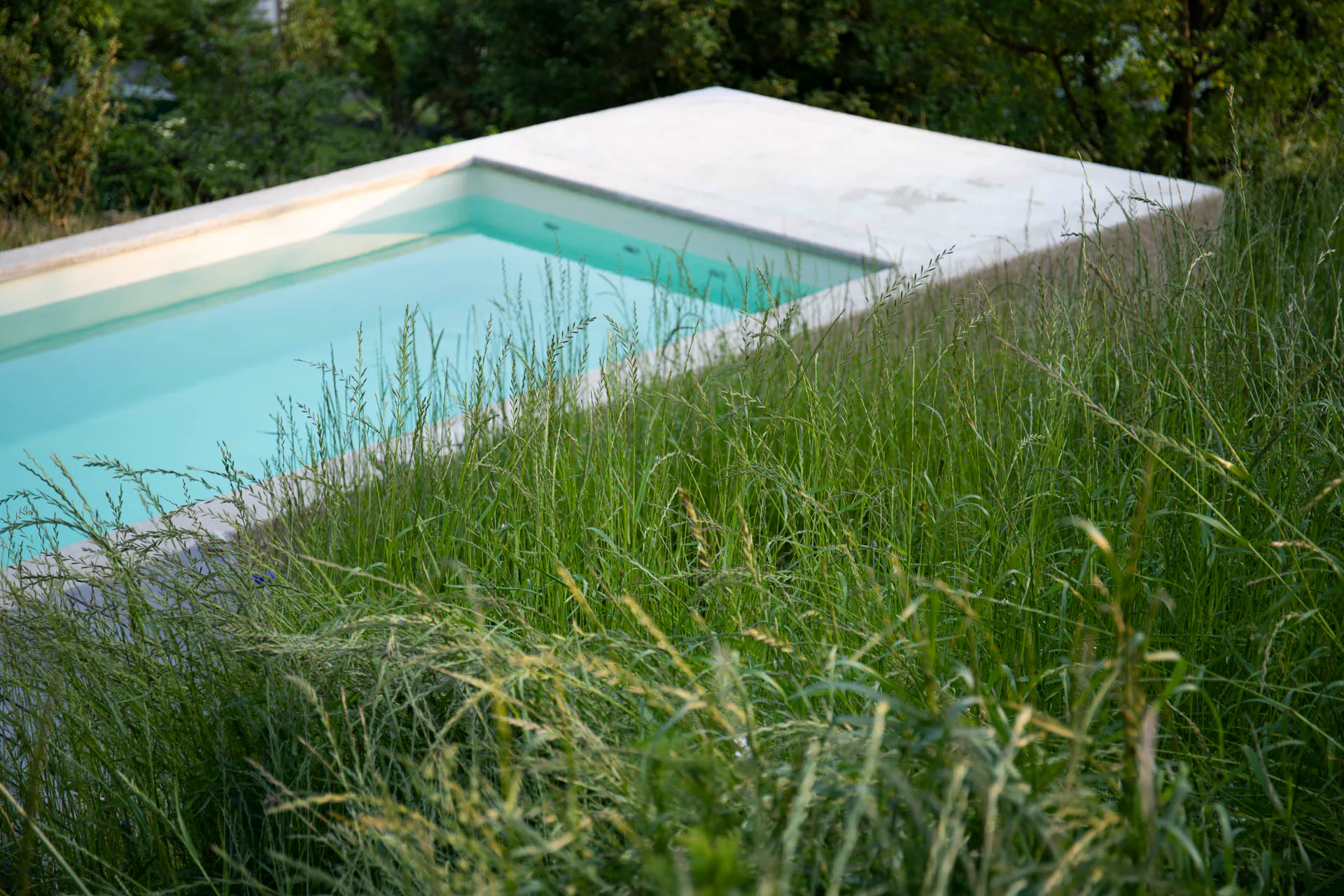 Naturpool