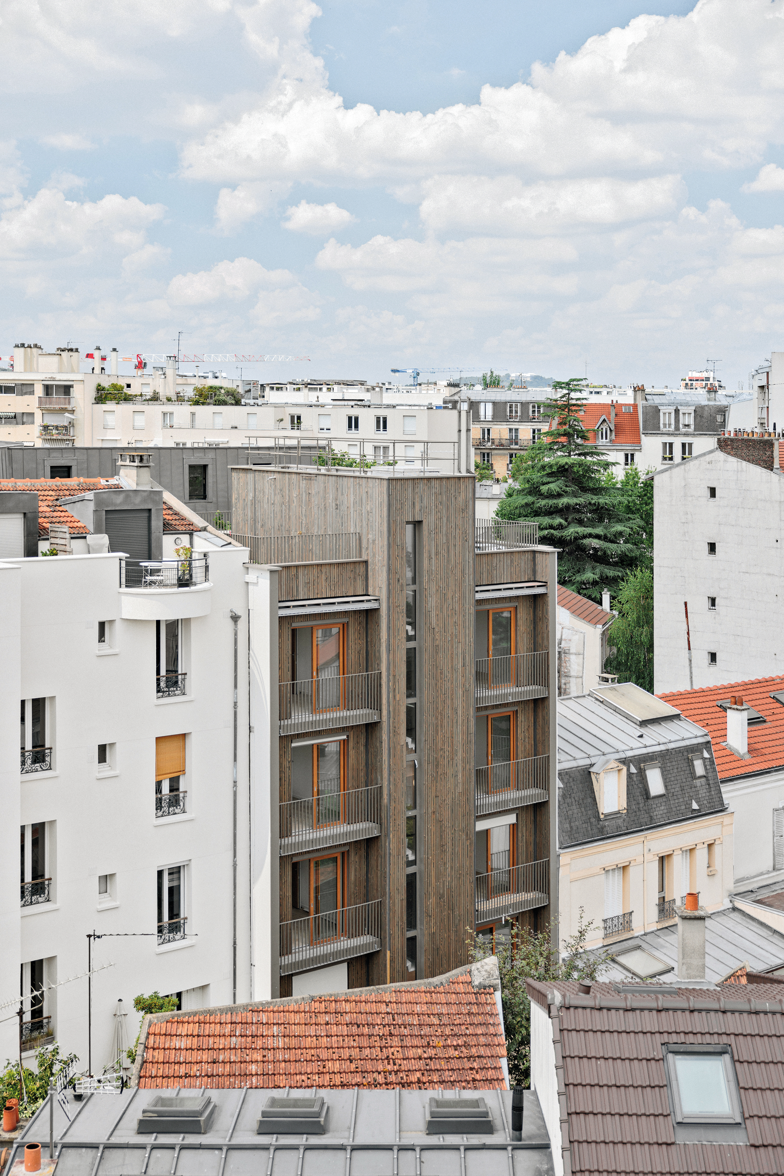 Die rückseitige Fassade ist mit Douglasienholz verkleidet. Auf der Dachterrasse hat jede Wohnung ein Gemüsebeet.