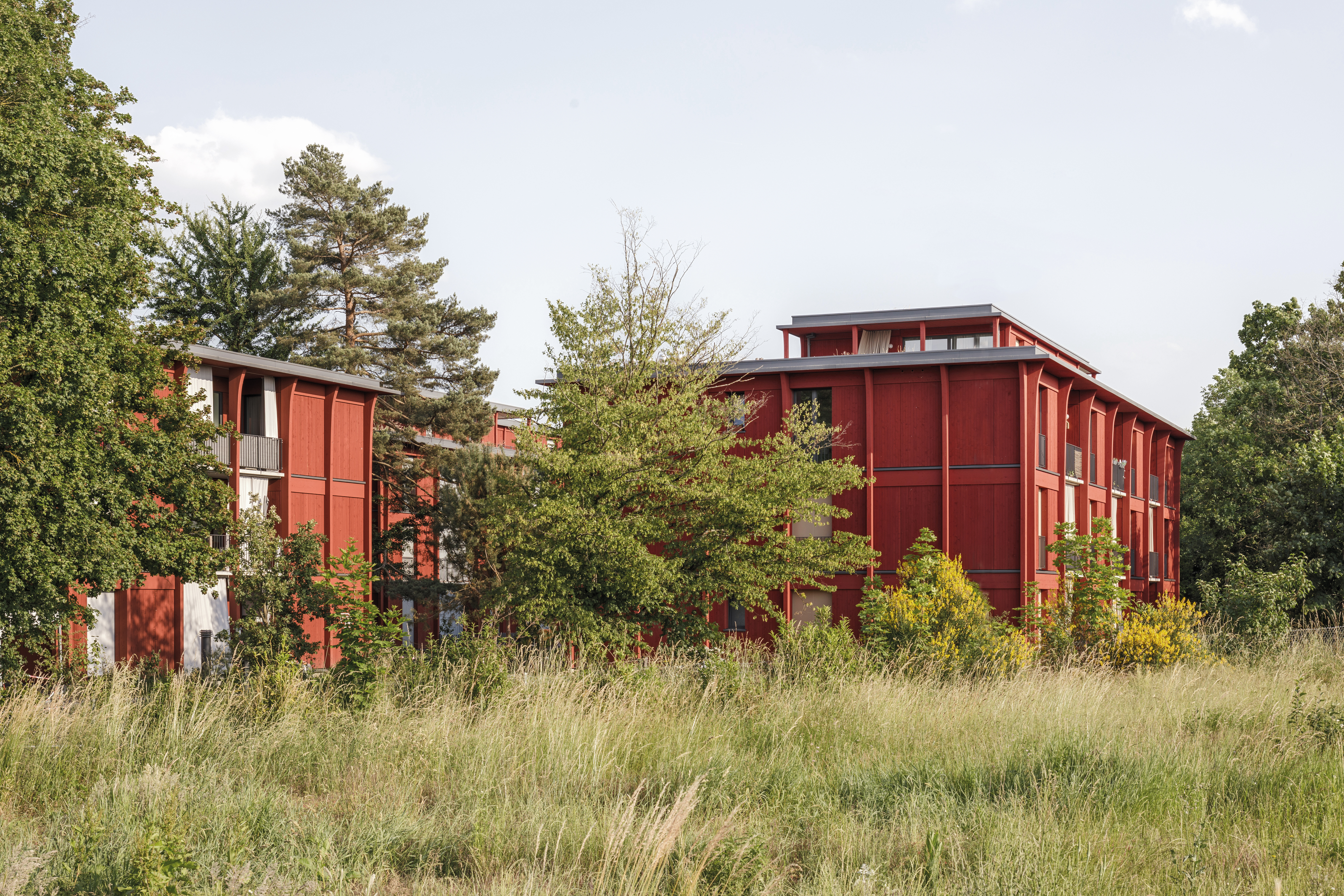 The original 1950s Hirtenweg estate consisted of six buildings. Two of them were renovated for energy efficiency. Four were demolished and replaced with timber structures.