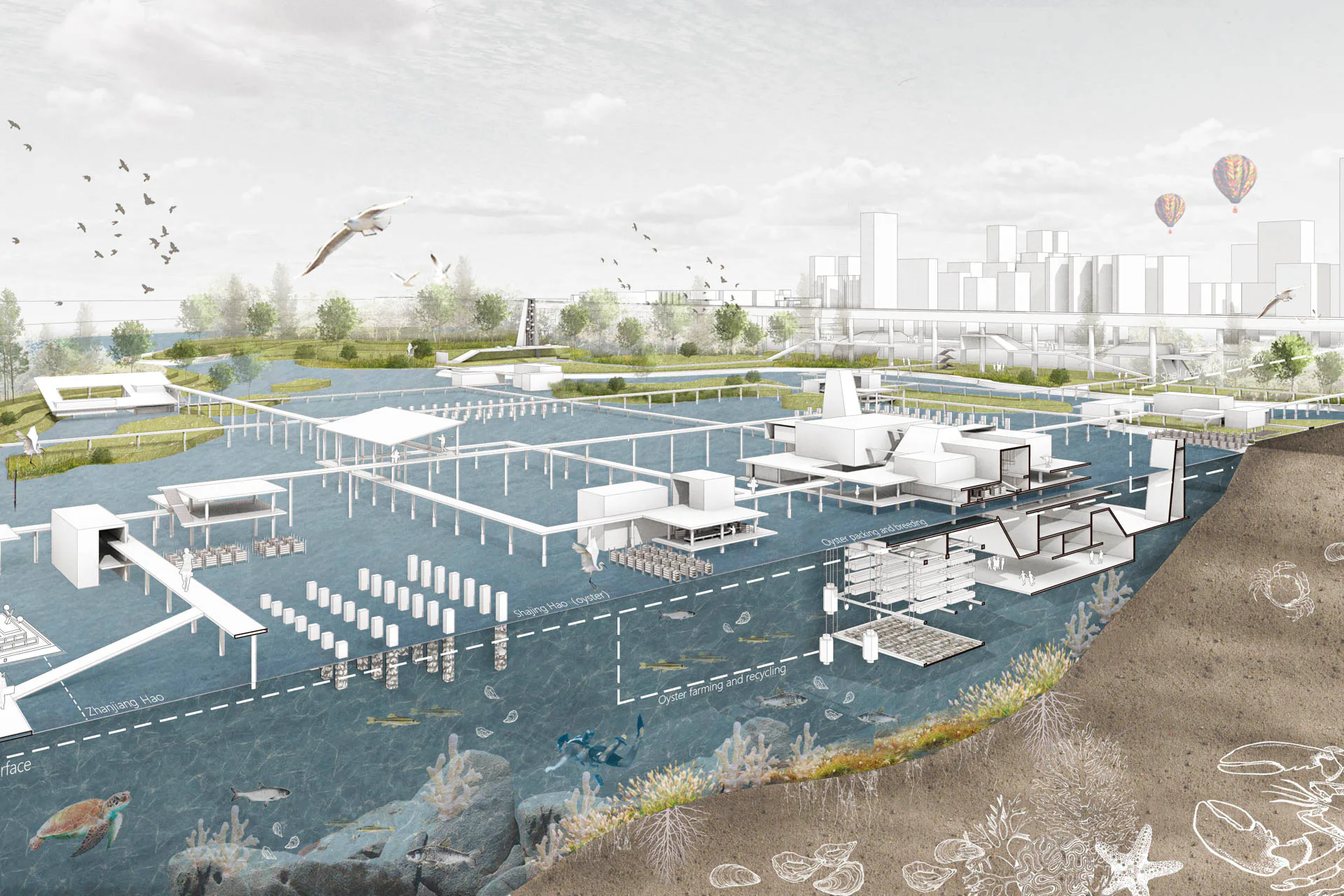 Das GBA Lab entwickelt fünf Szenarien, die Shenzhen als Fallbeispiel nutzen. Ziel ist es, Wassermanagement zu integrieren, um die Klimaresilienz zu stärken und kulturelle Identität zu bewahren.