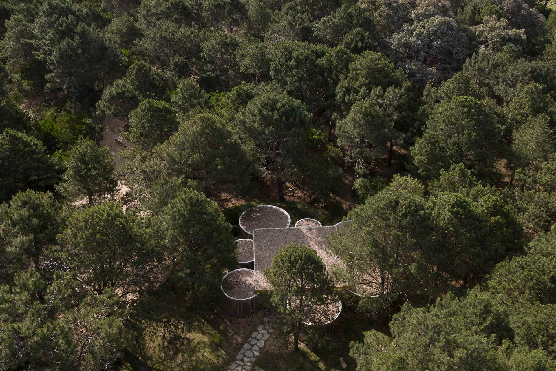 Das Lernzentrum für Kinder in La Barra ist in einen Kiefernwald eingebettet.