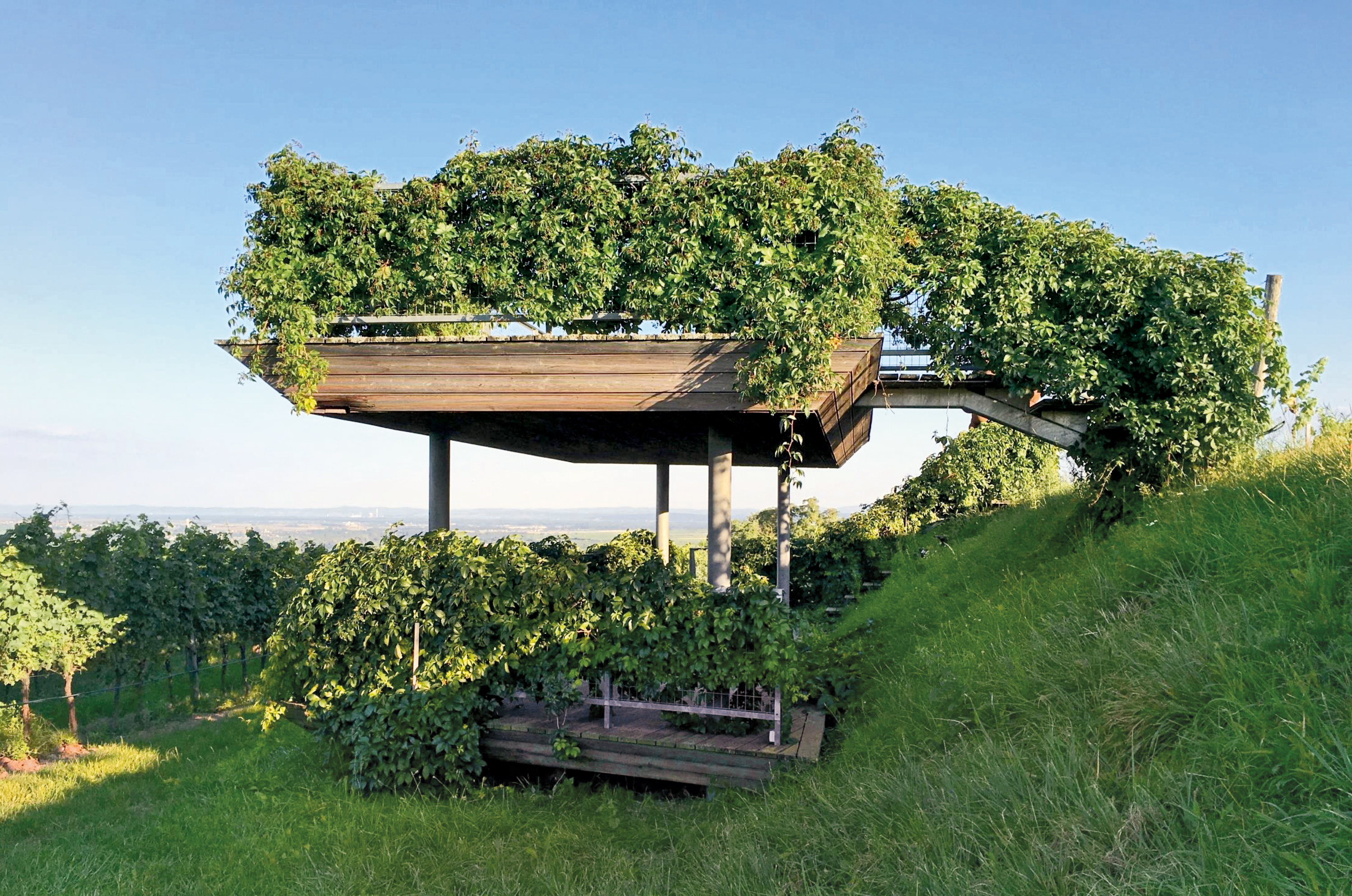 Mit Blick über die Weinberge: In Langenlois entstand dieses Gazebo in Zusammenarbeit mit dem Künstler Heimo Zobernig.