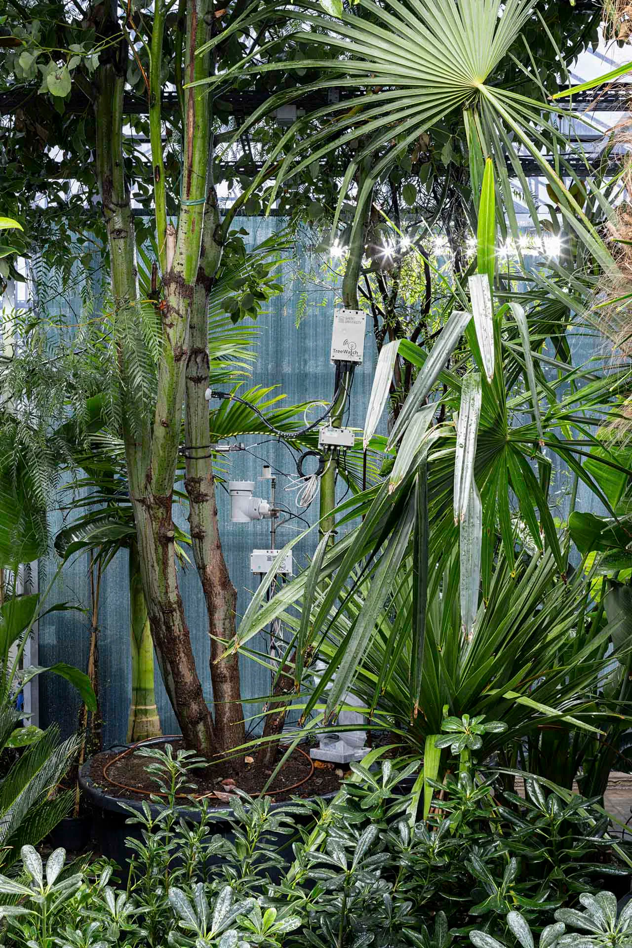 Der Prototyp von Bas Smets und Stefano Mancuso im Belgischen Pavillon erforscht wie sich Gebäude zu dynamischen Biosphären entwickeln.
