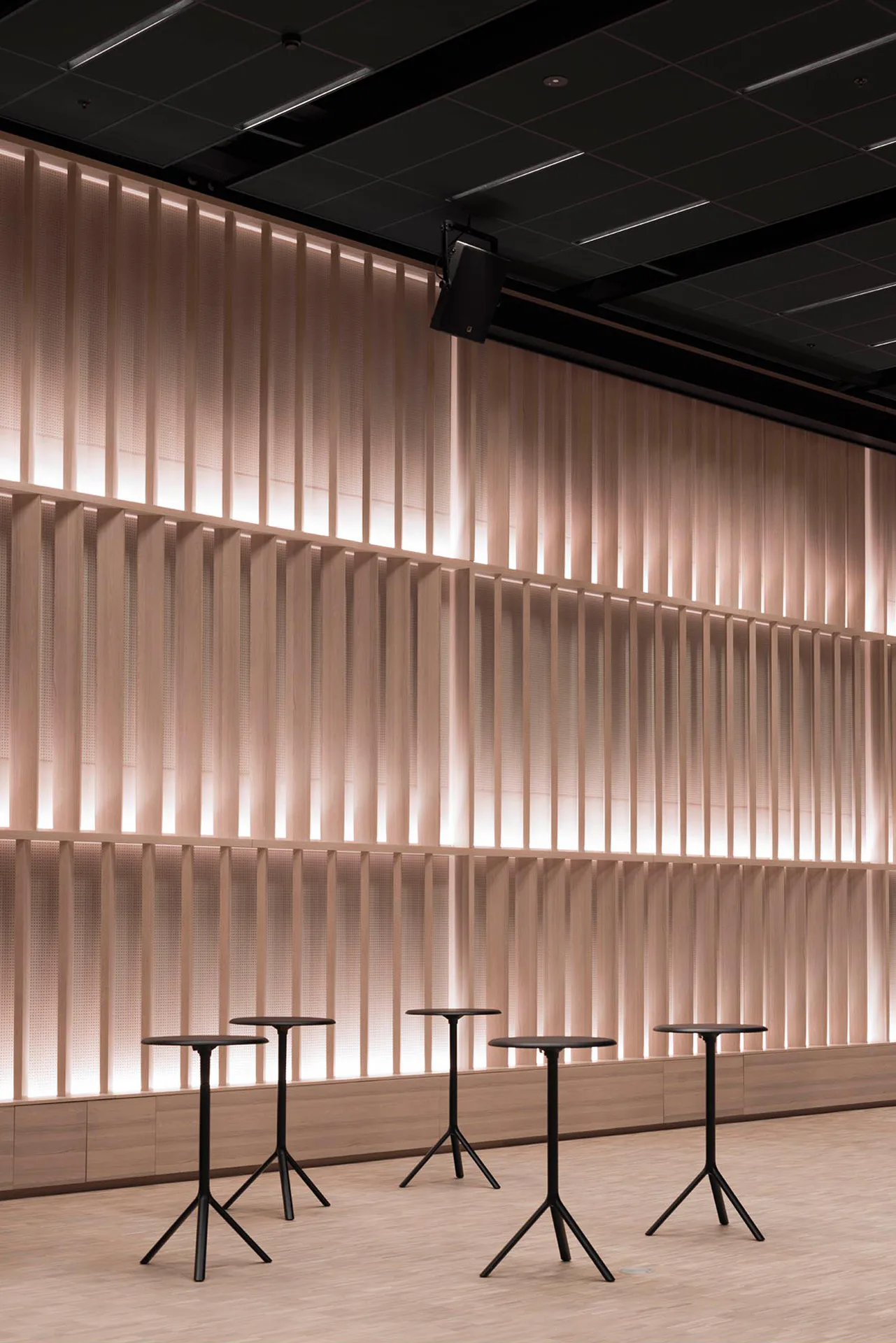 Die filigrane Lichtlinie Notor 36 wurde speziell für das Projekt entwickelt und wurde immer wieder eingesetzt, um den architektonischen Charakter zu betonen.