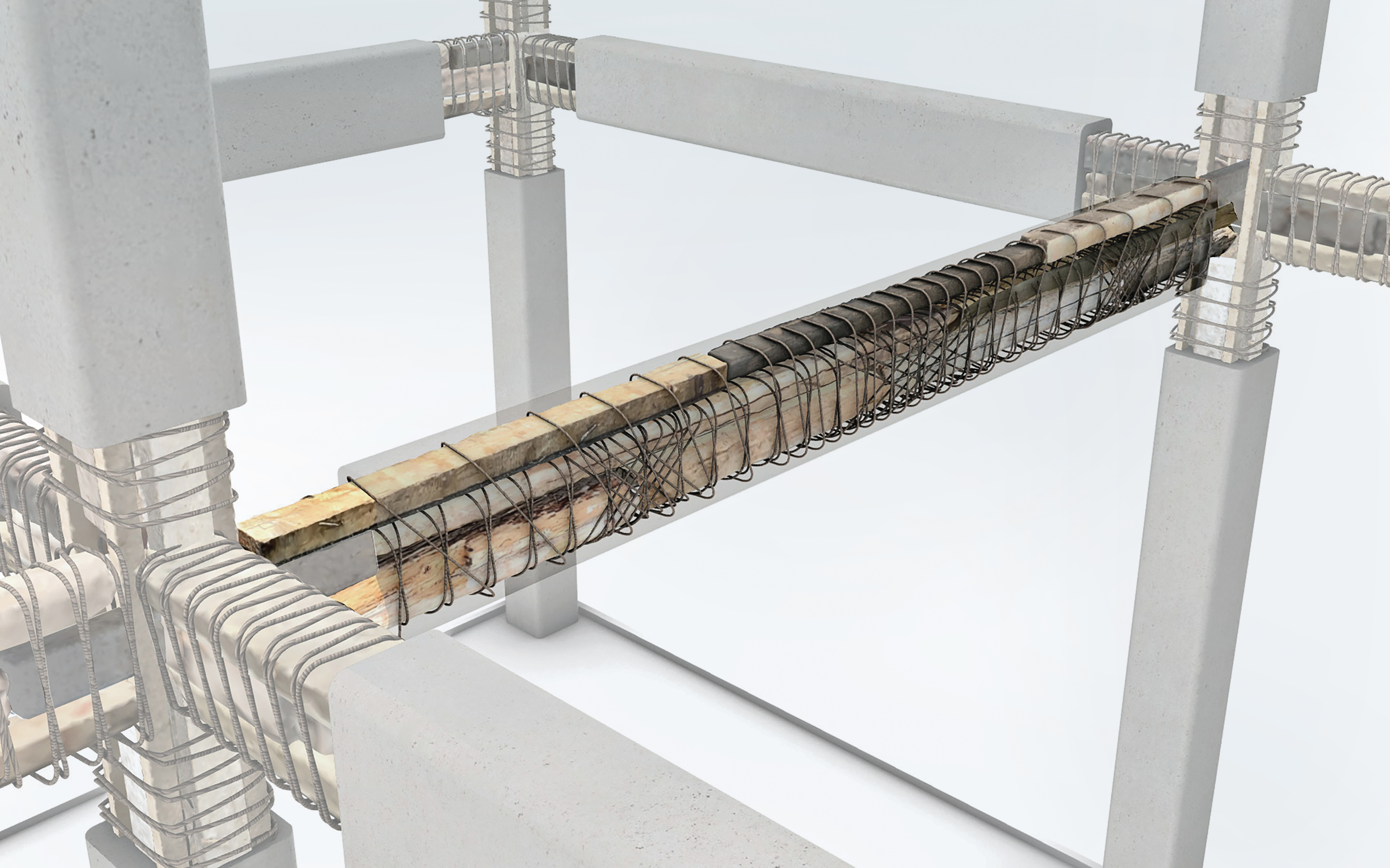 Visualisierung eines Holztragwerks aus Embraced-Wood-Balken. Die Lehmumhüllung ist transparent dargestellt, um den inneren Aufbau zu verdeutlichen.