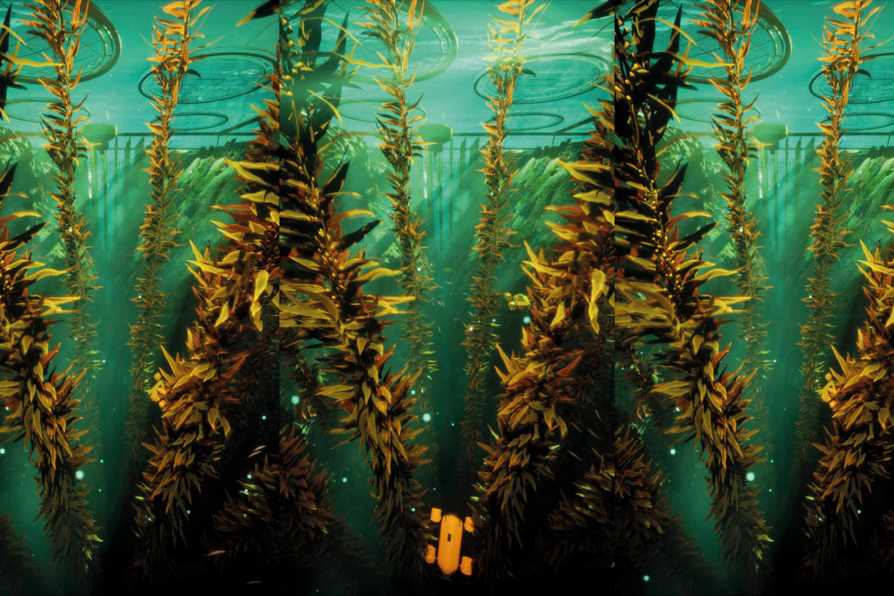 Superflux, The Seas Are No Longer Dying, 2022 Produziert von Superflux in Abstimmung mit Safe Seaweed Coalition und in Zusammenarbeit mit Cream Projects und David Vélez Filmstill